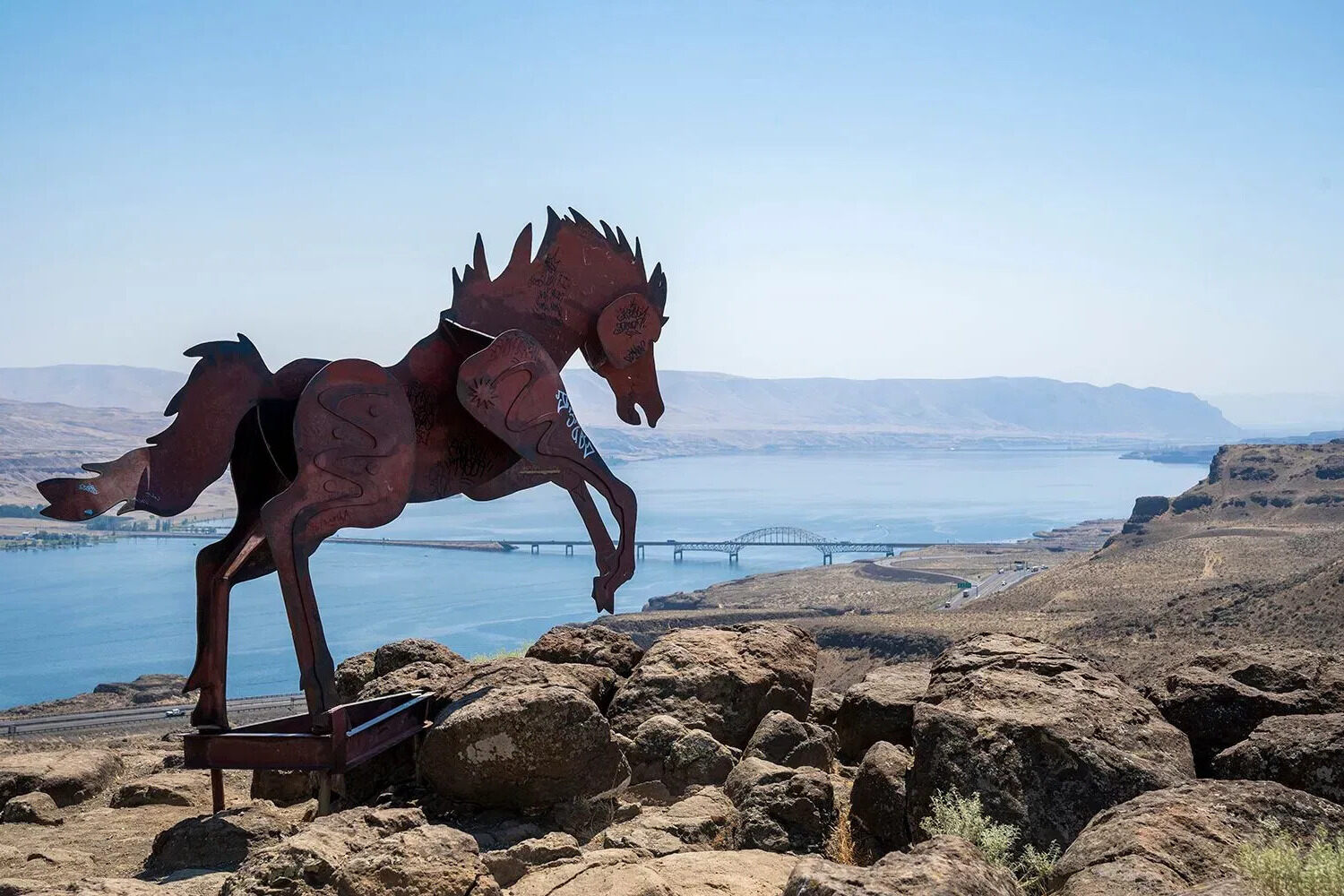 mystery-of-washingtons-iron-horse-remains