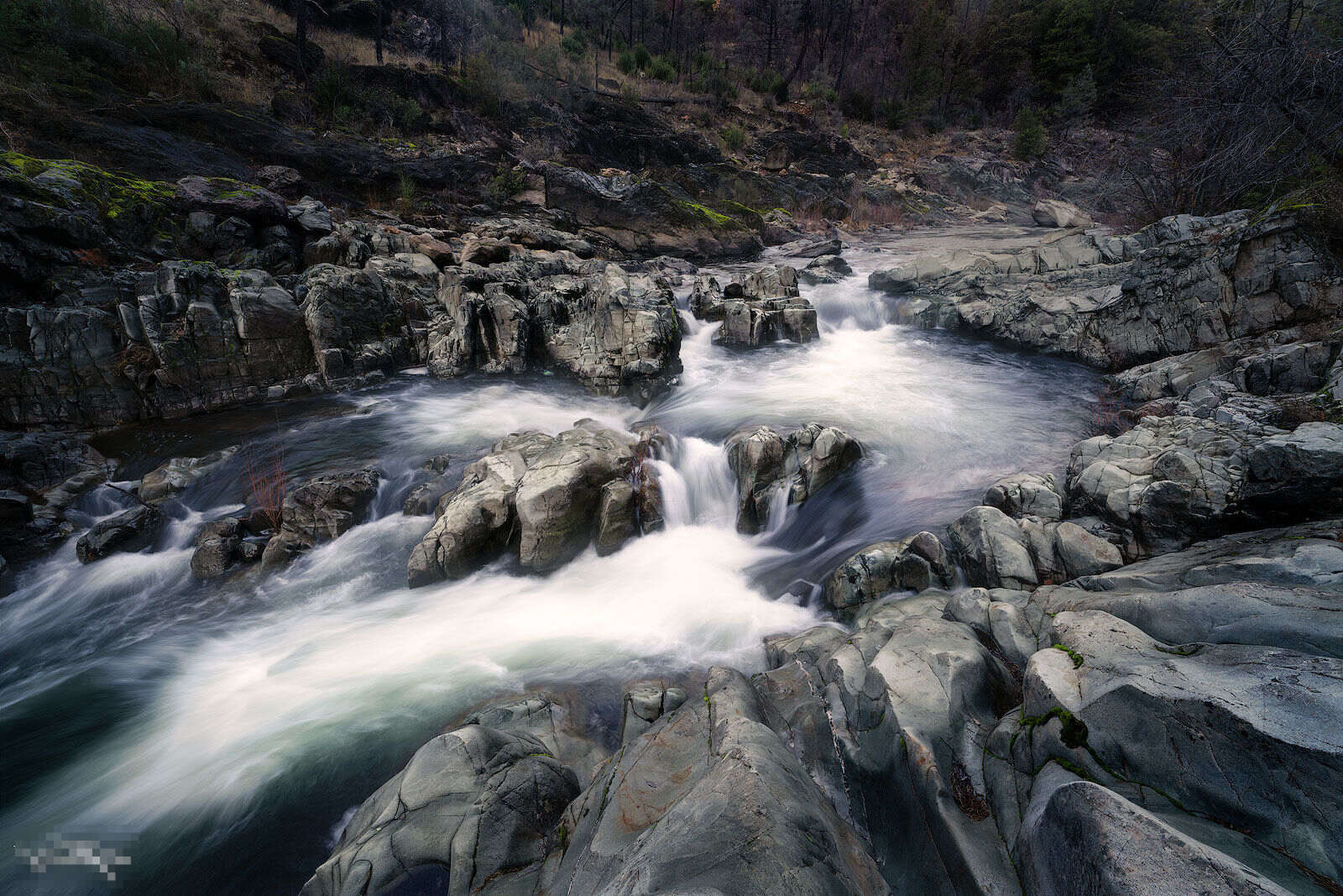 mystery-springs-of-californias-paradise