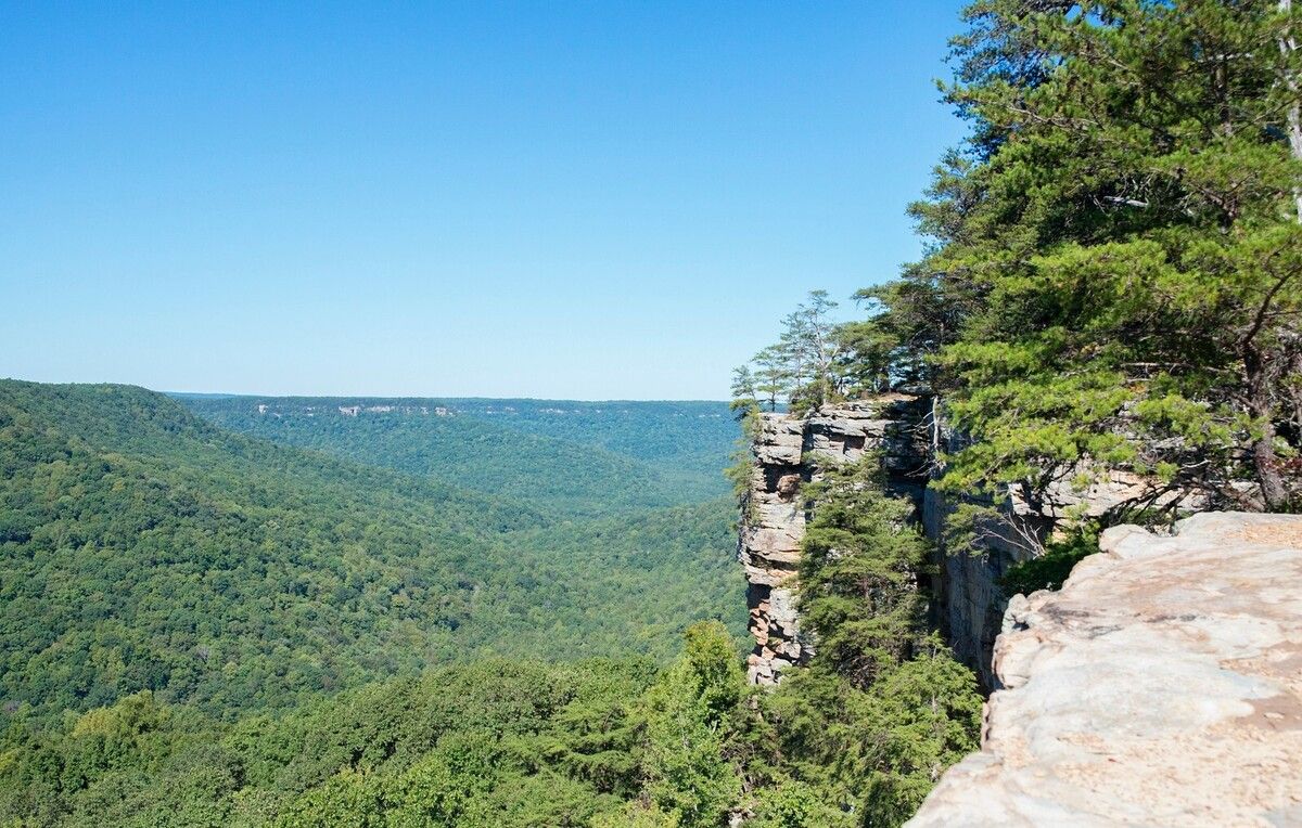 Mystic-Stories-From-Tennessee8217s-Savage-Gulf mystic-stories-from-tennessees-savage-gulf