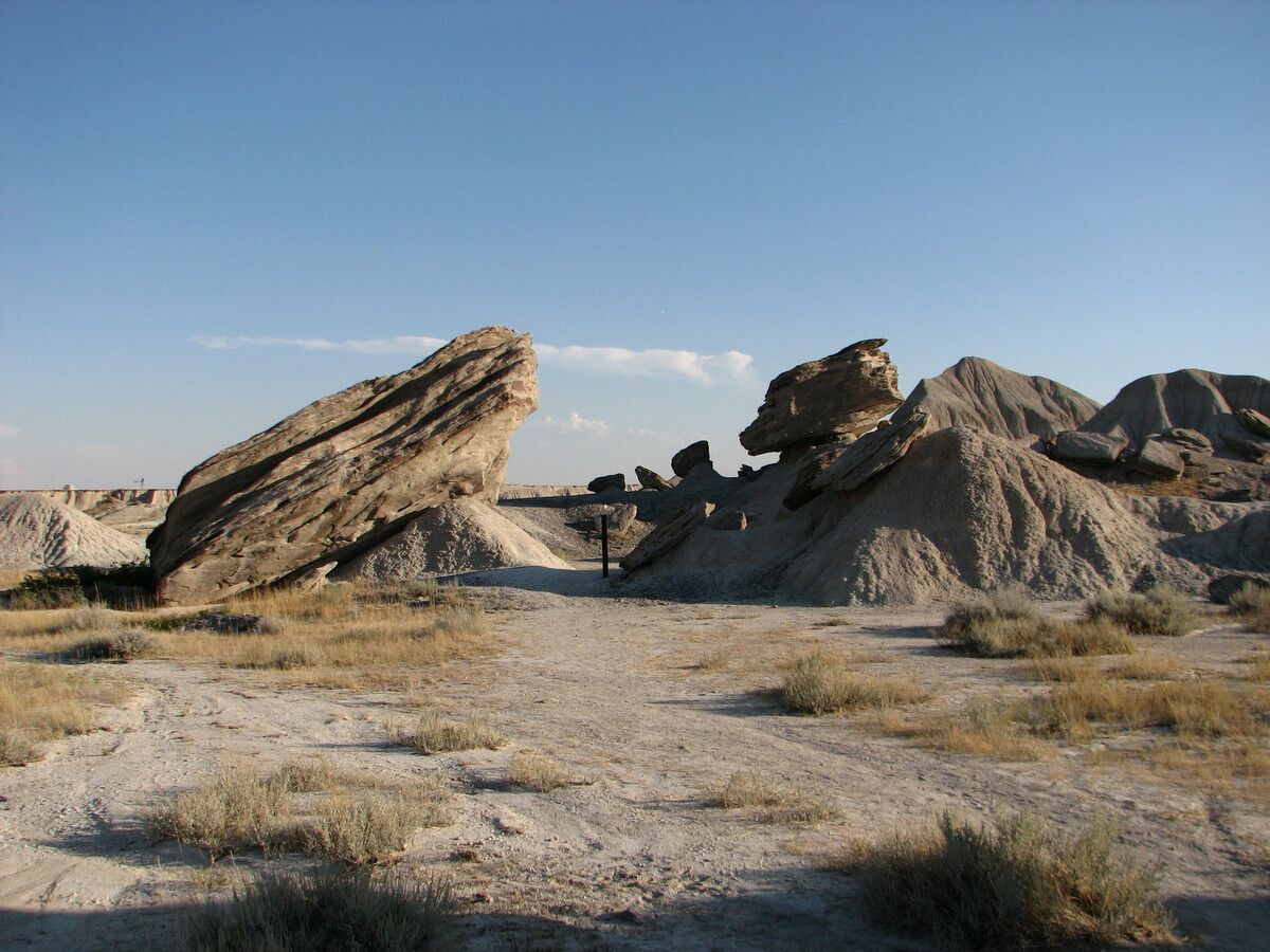 nebraskas-toadstool-mysteries