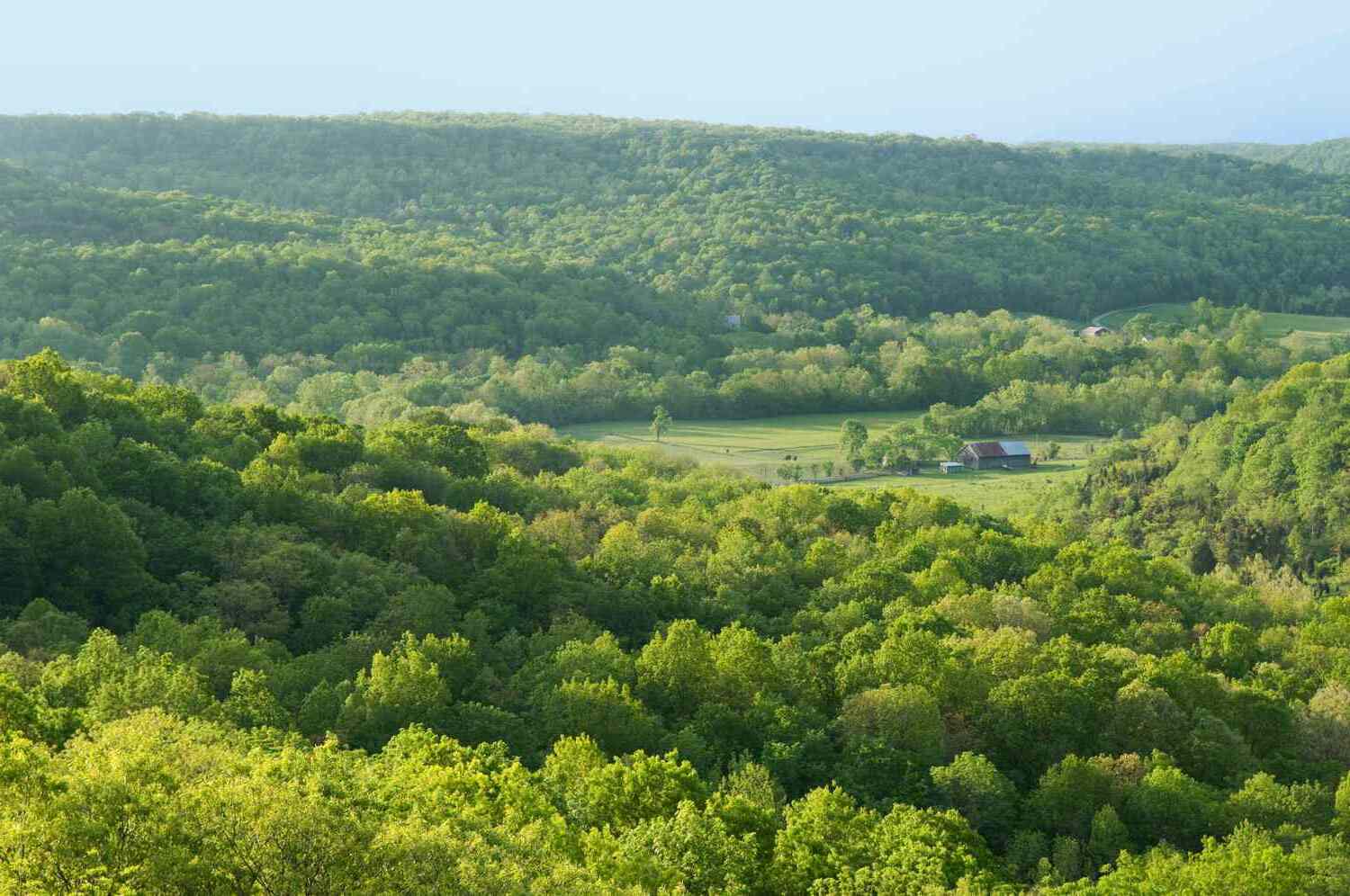Ohio8217s-Edge-Of-Appalachia-Wilderness-Chronicles ohios-edge-of-appalachia-wilderness-chronicles