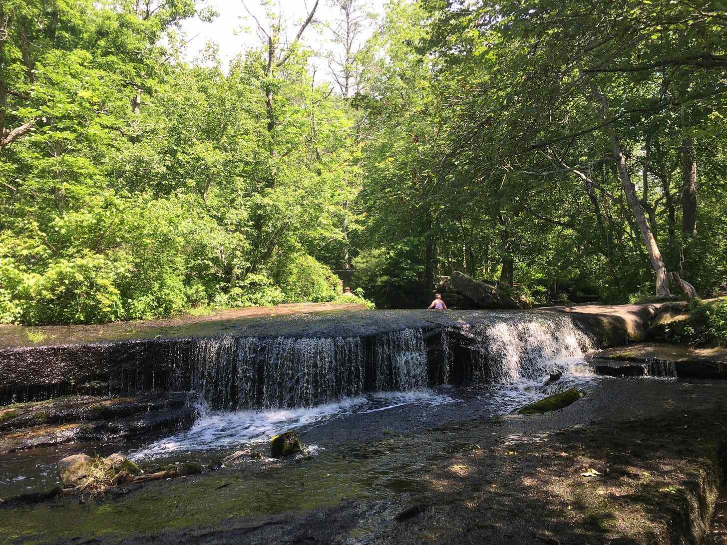 rhode-islands-arcadia-tales-from-the-forest