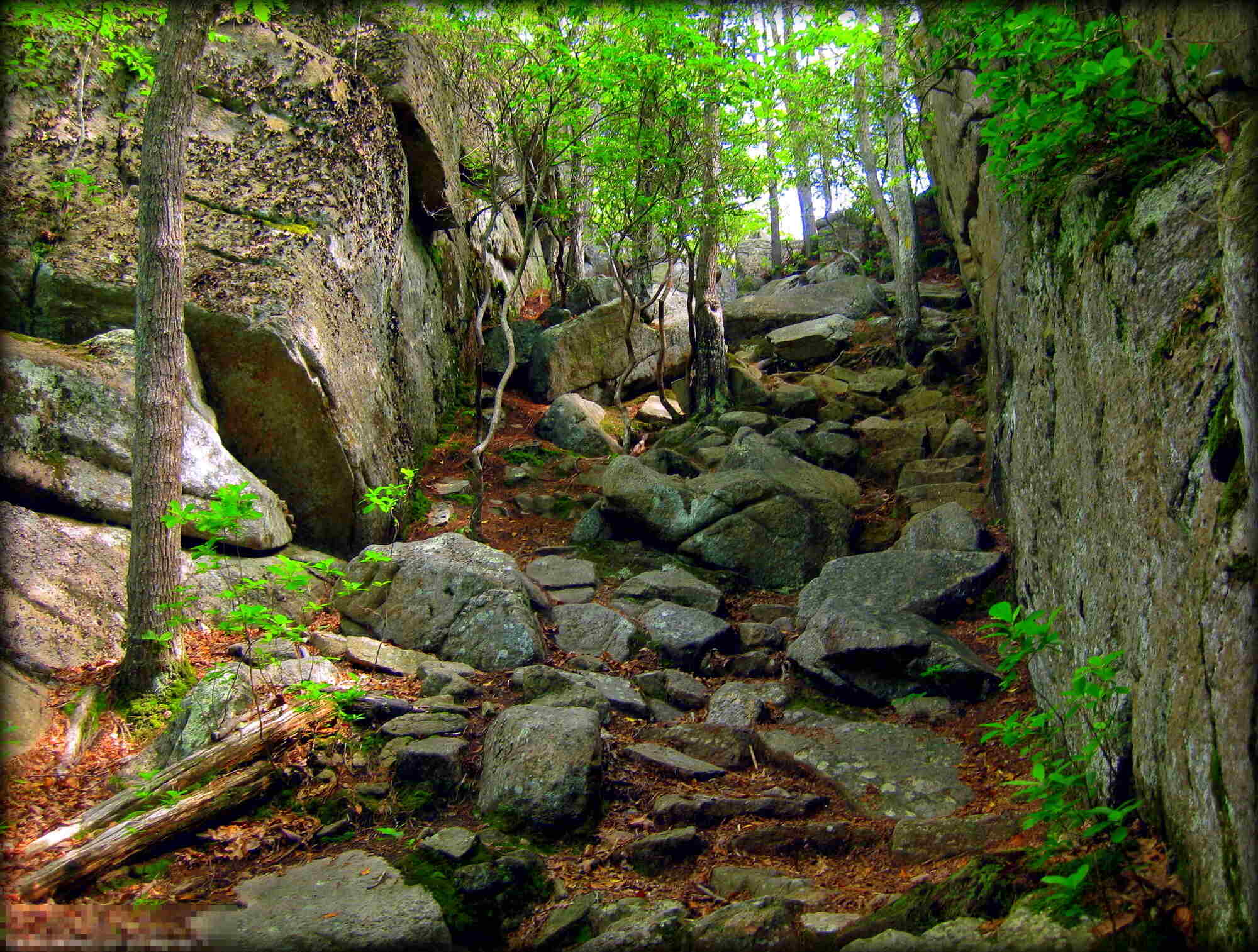 Rhode-Island8217s-Hidden-Long-Pond-Trails rhode-islands-hidden-long-pond-trails