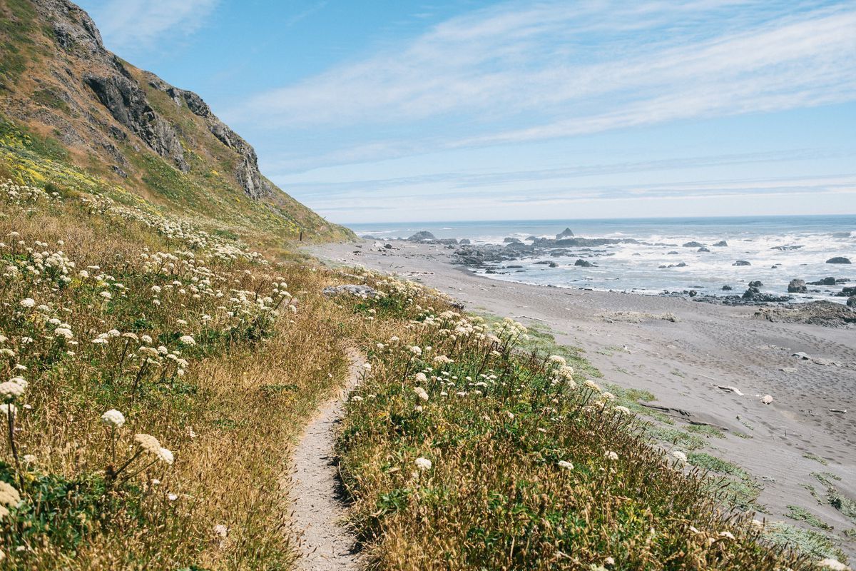 secret-lakes-of-californias-lost-coast