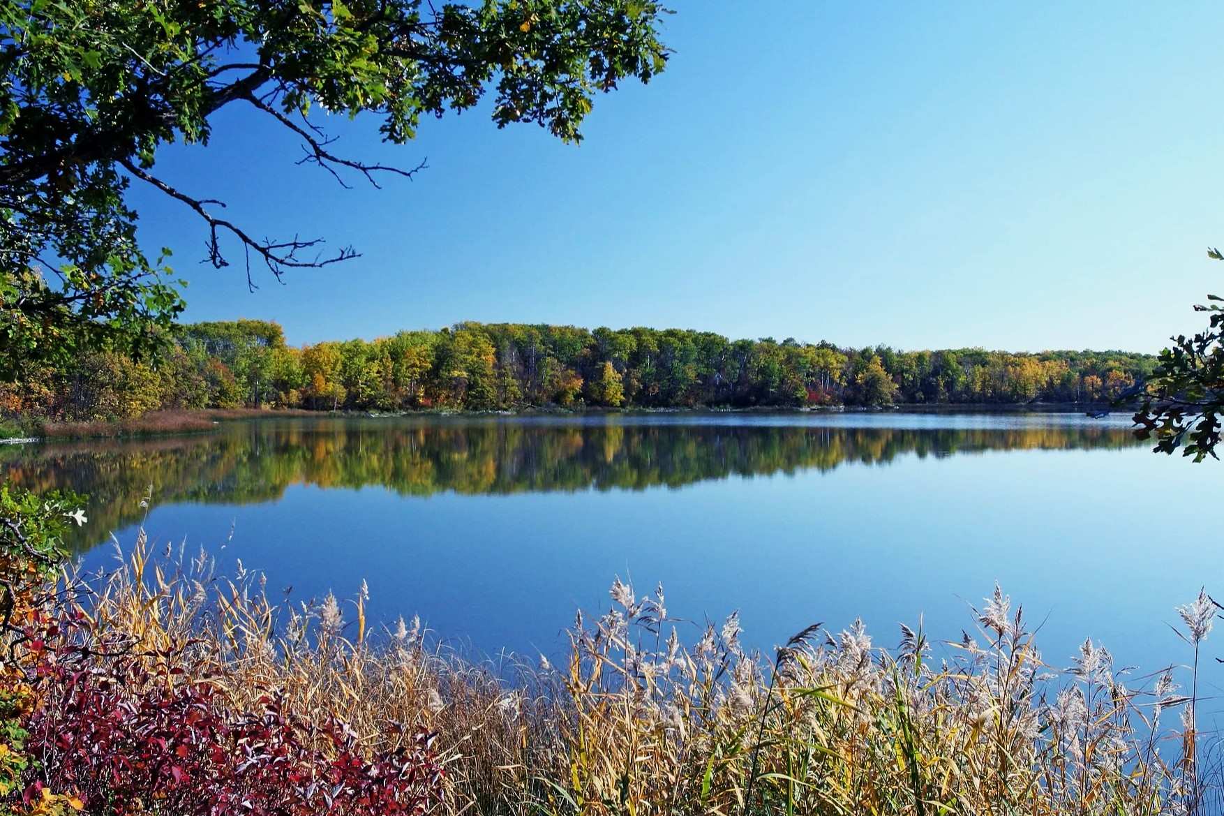 Secret-Lakes-Of-North-Dakota8217s-Turtle-Mountain secret-lakes-of-north-dakotas-turtle-mountain
