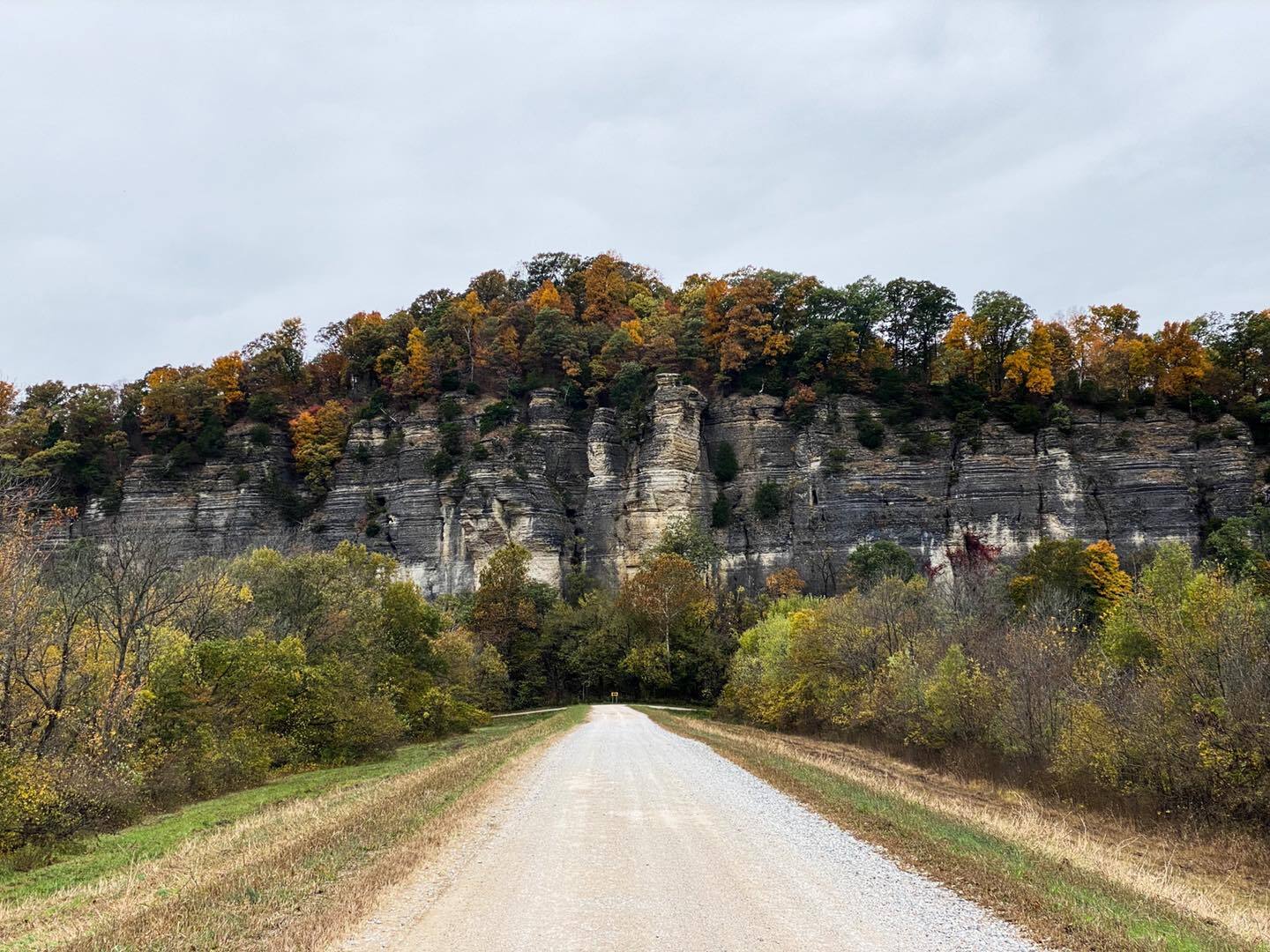 Secret-Paths-In-Illinois8217-LaRue-Pine secret-paths-in-illinois-larue-pine