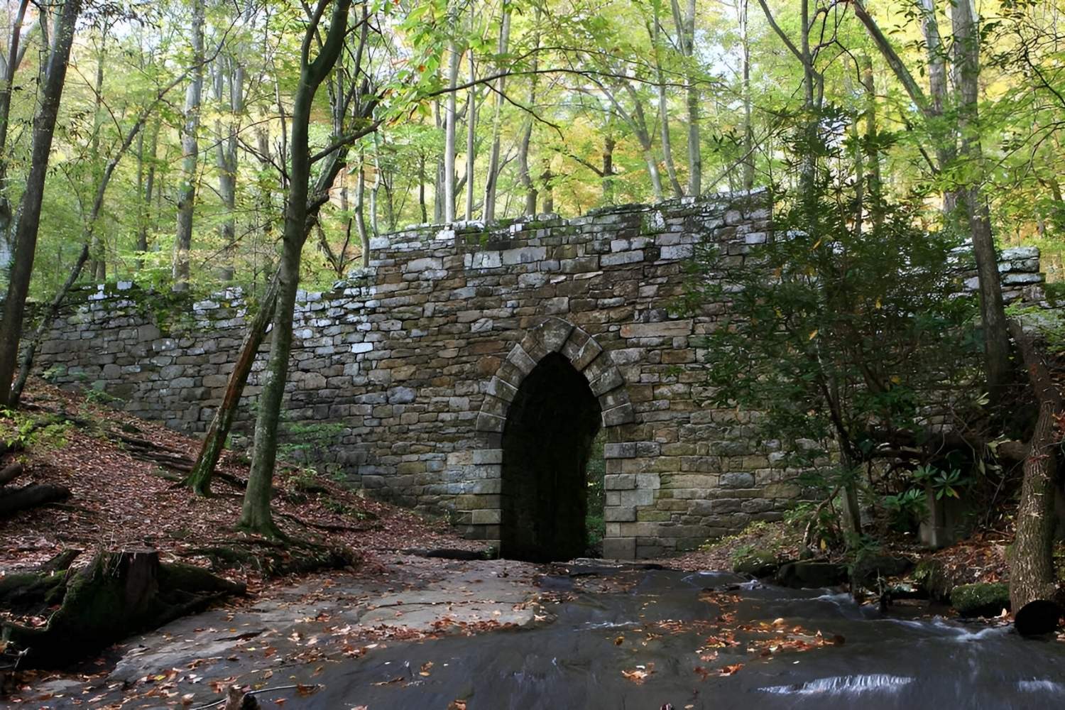 Secret-Paths-Of-South-Carolina8217s-Poinsett secret-paths-of-south-carolinas-poinsett
