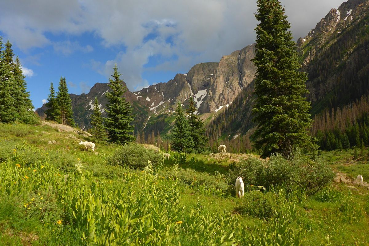 secret-trails-in-colorados-chicago-basin