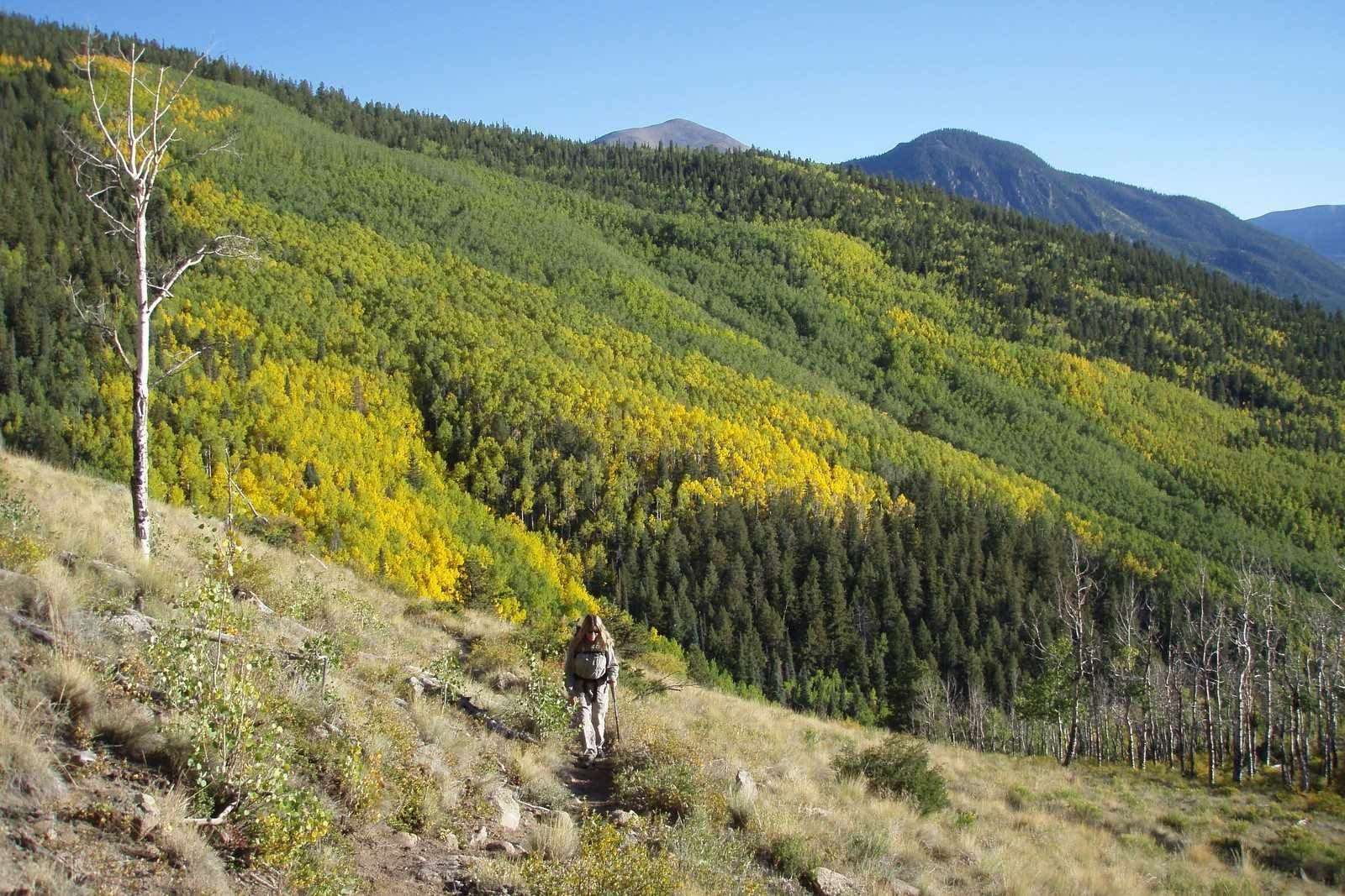 Secret-Trails-In-Colorado8217s-Crystal-Basin secret-trails-in-colorados-crystal-basin
