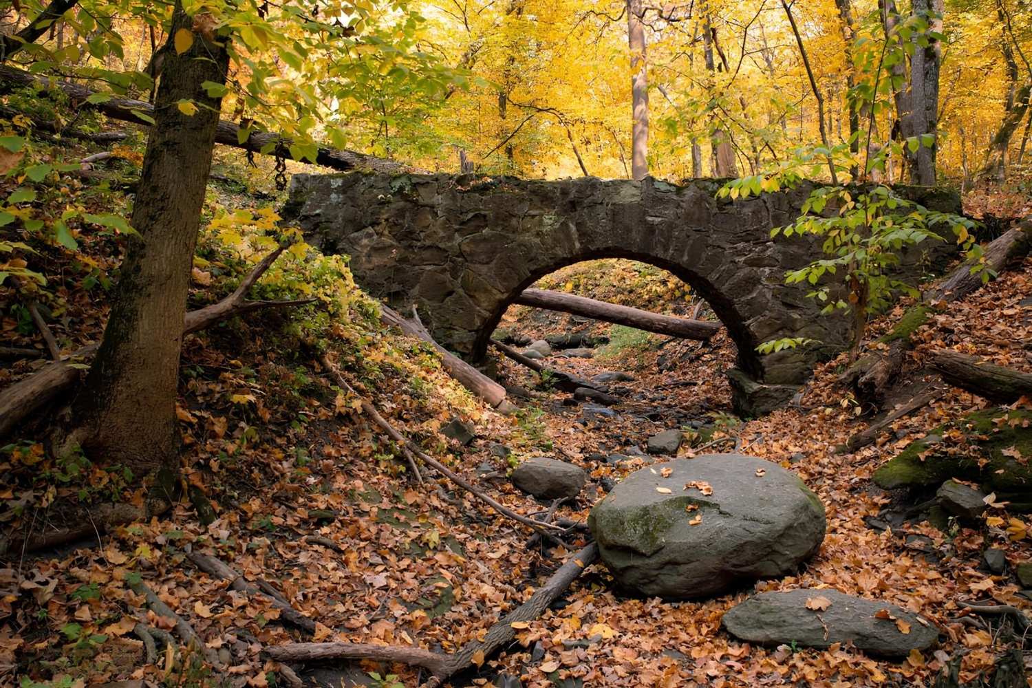 secrets-behind-iowas-dolliver