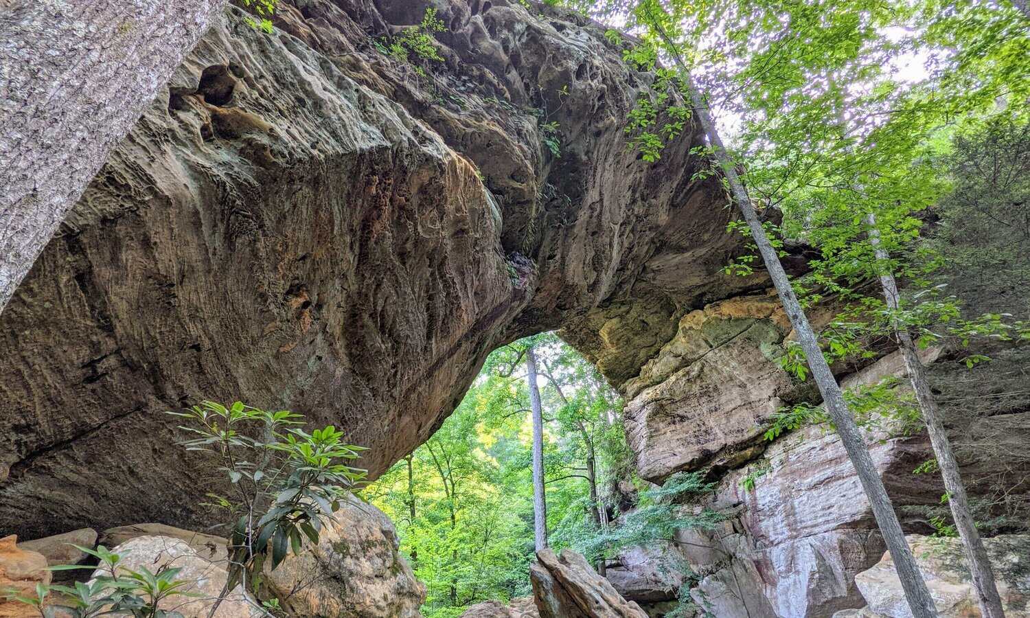 secrets-behind-kentuckys-grays-arch
