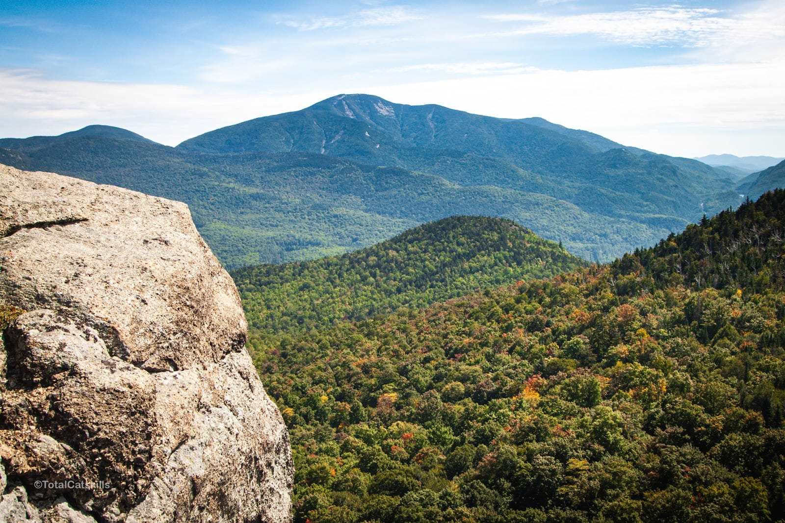 secrets-behind-new-yorks-rooster-comb