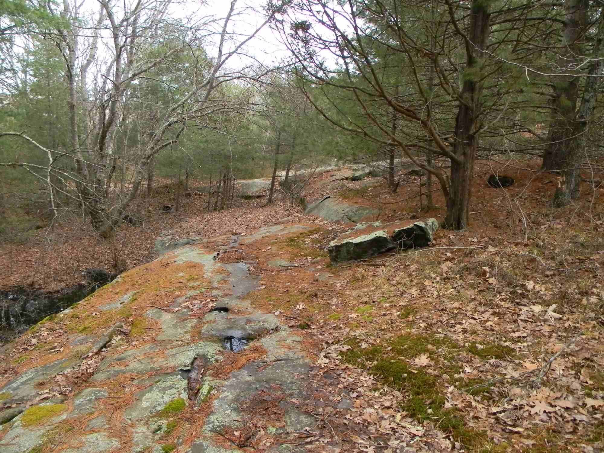 Secrets-Behind-Rhode-Island8217s-Sachem-Path secrets-behind-rhode-islands-sachem-path