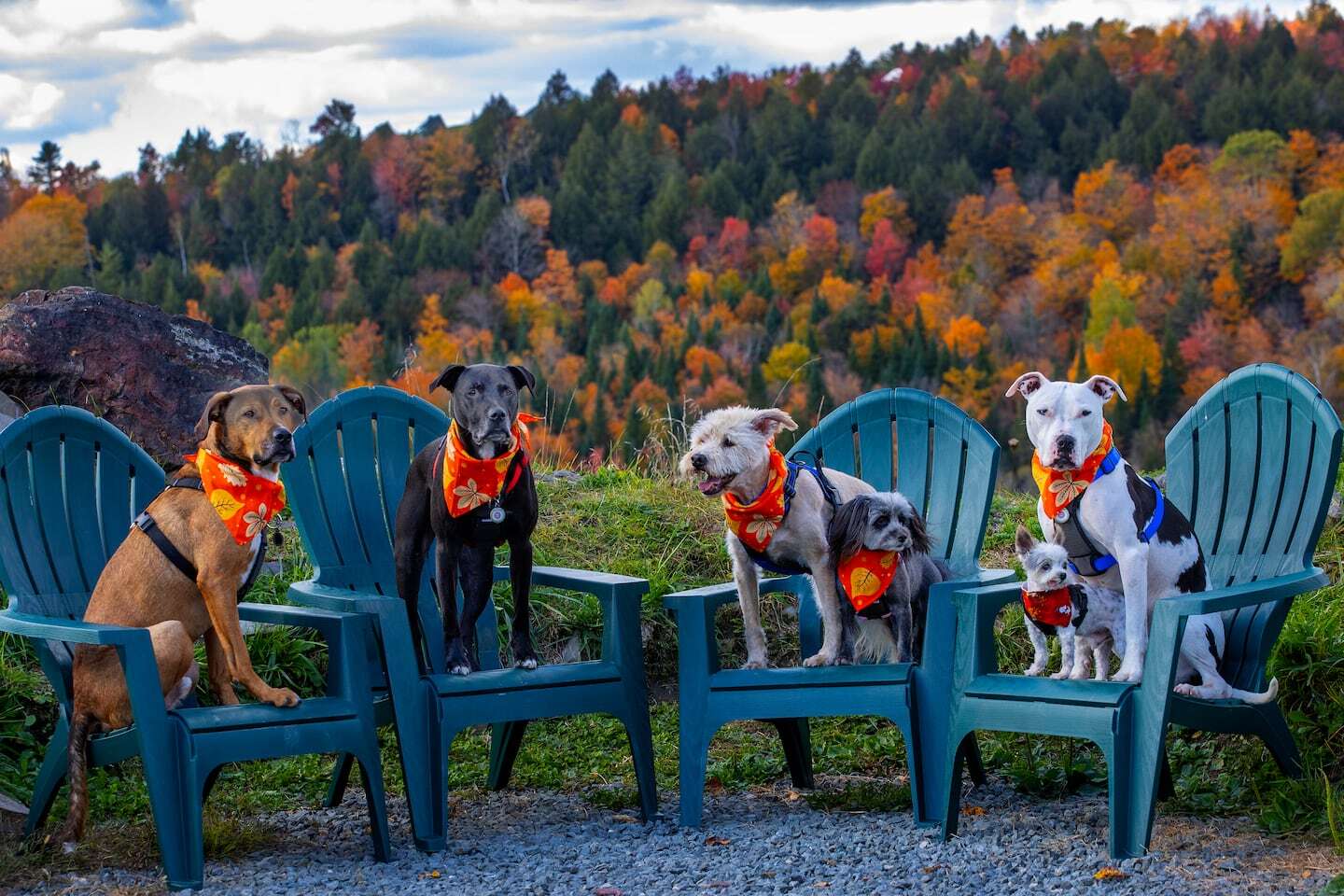 secrets-behind-vermonts-dog-mountain