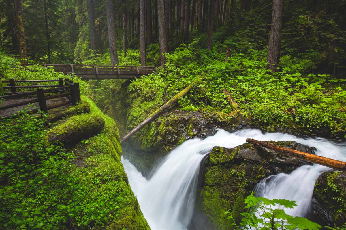 secrets-behind-washingtons-sol-duc-falls