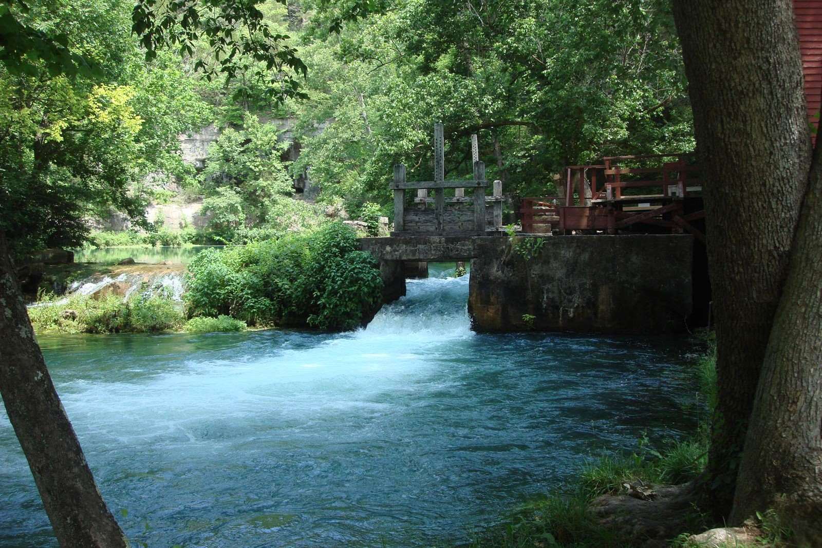 Secrets-Beneath-Missouri8217s-Karst-Forest secrets-beneath-missouris-karst-forest