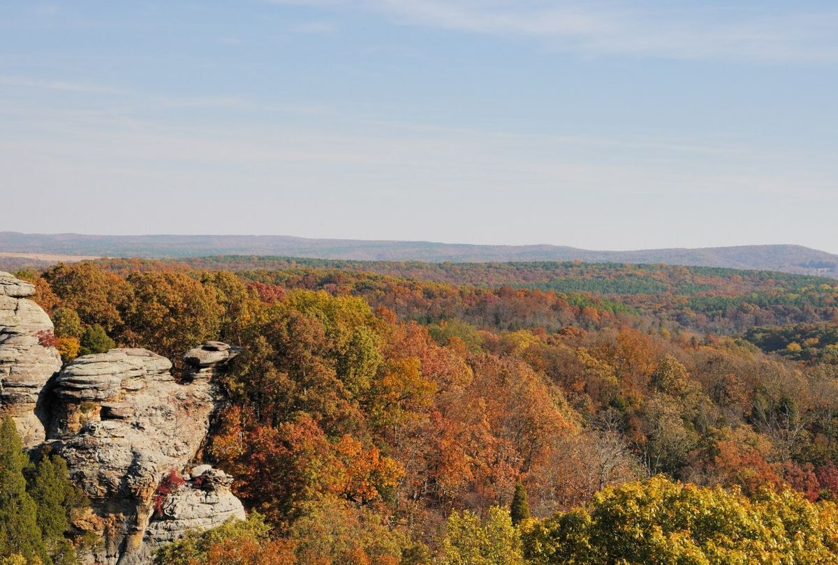 Secrets-Beneath-Missouri8217s-Ozark-Forest secrets-beneath-missouris-ozark-forest