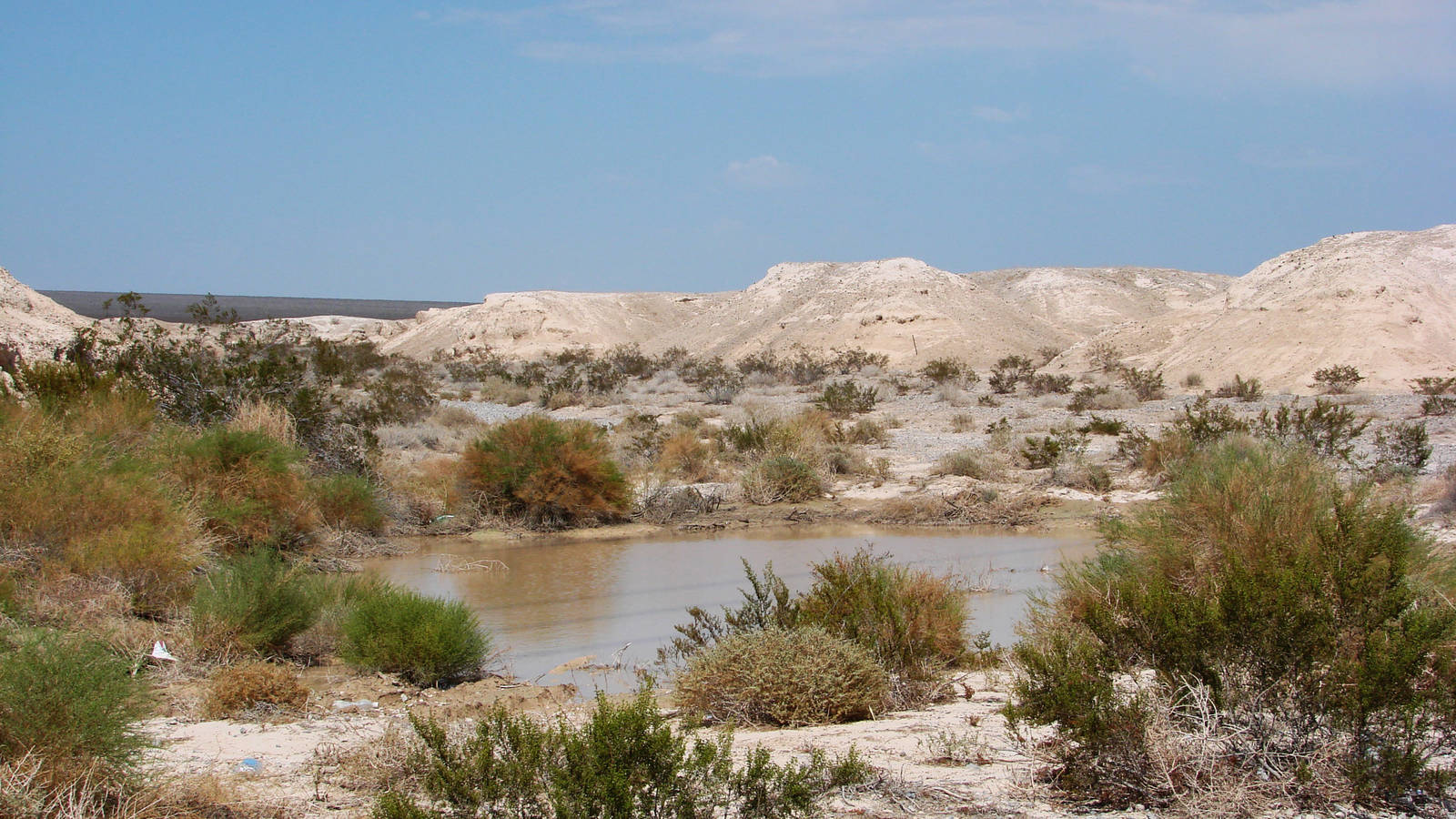 secrets-beneath-nevadas-tule-springs