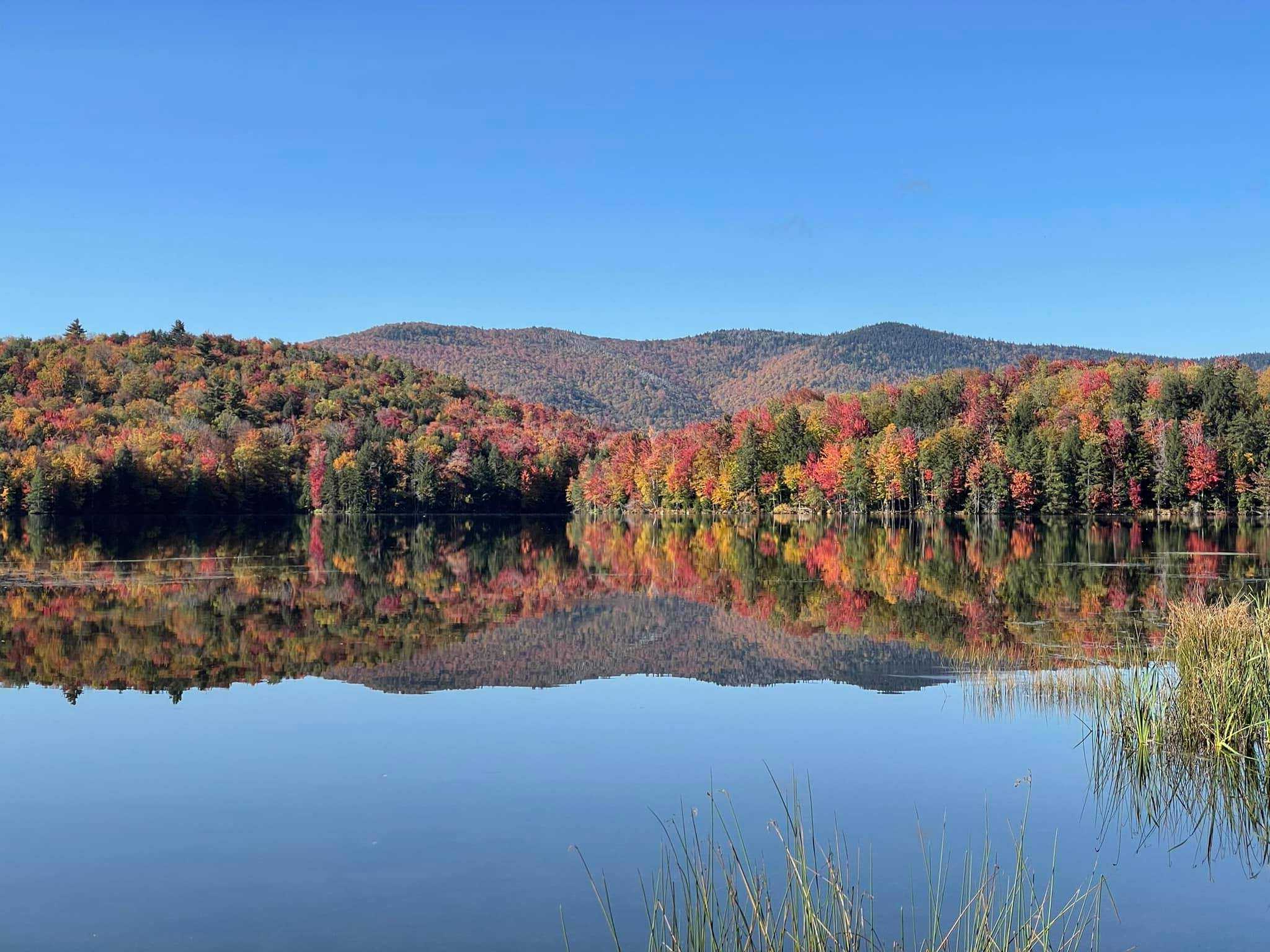 Secrets-Beneath-Vermont8217s-Gifford-Woods secrets-beneath-vermonts-gifford-woods
