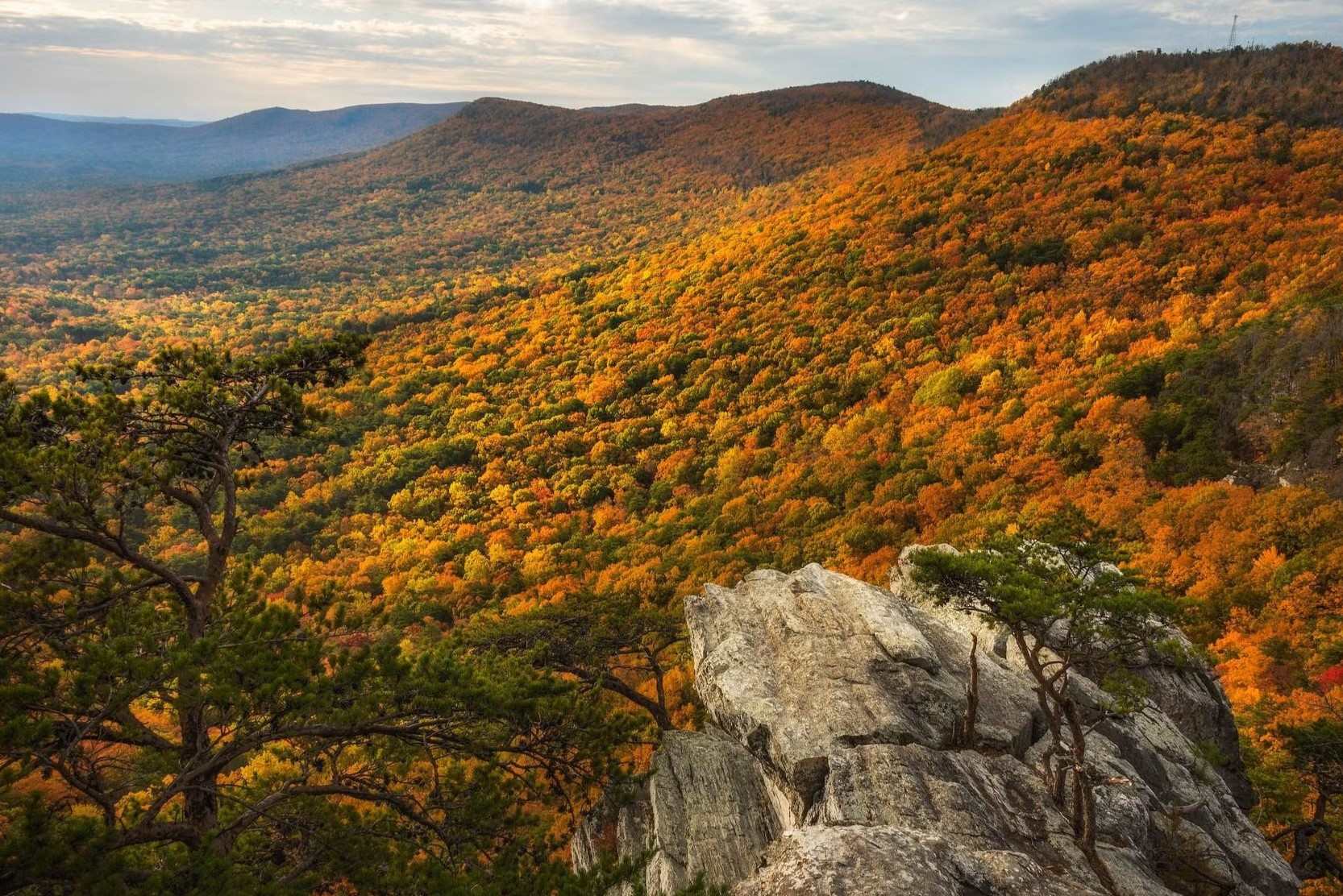 Secrets-Hidden-In-Alabama8217s-Cheaha-Valley secrets-hidden-in-alabamas-cheaha-valley
