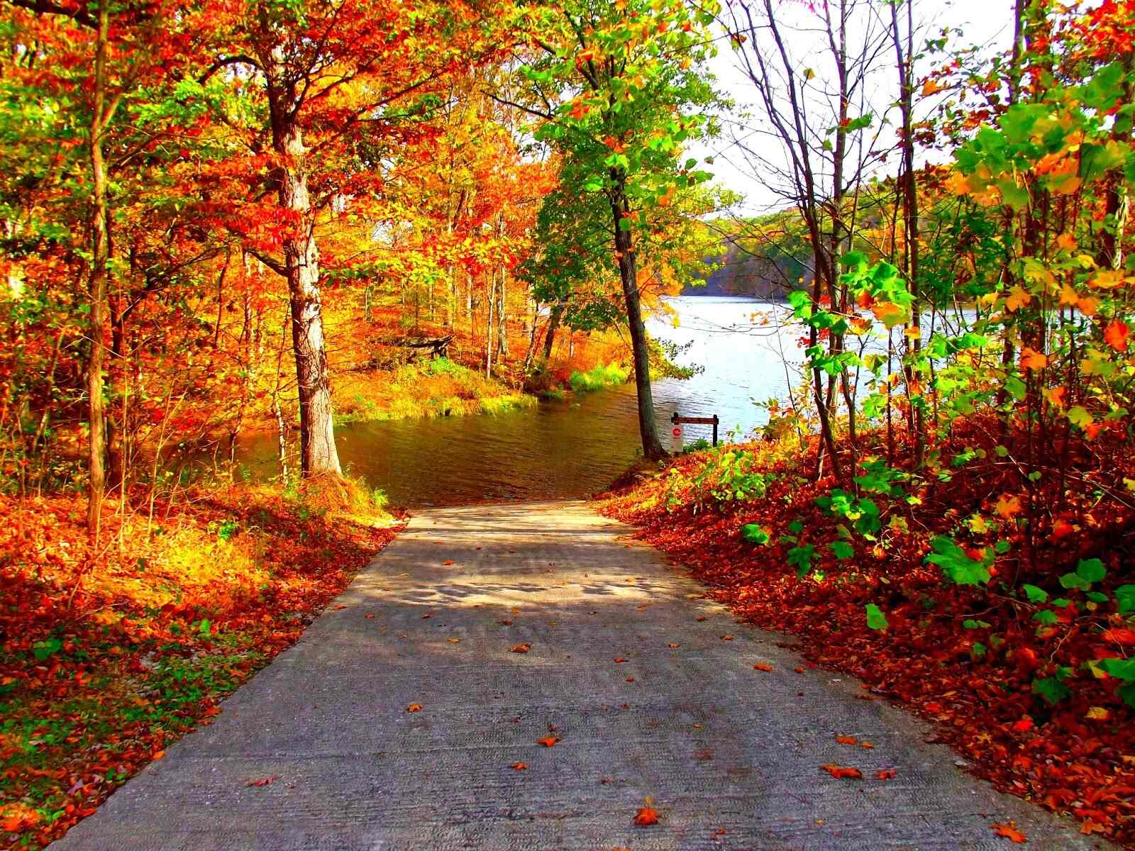 secrets-hidden-in-indianas-yellowwood-forest