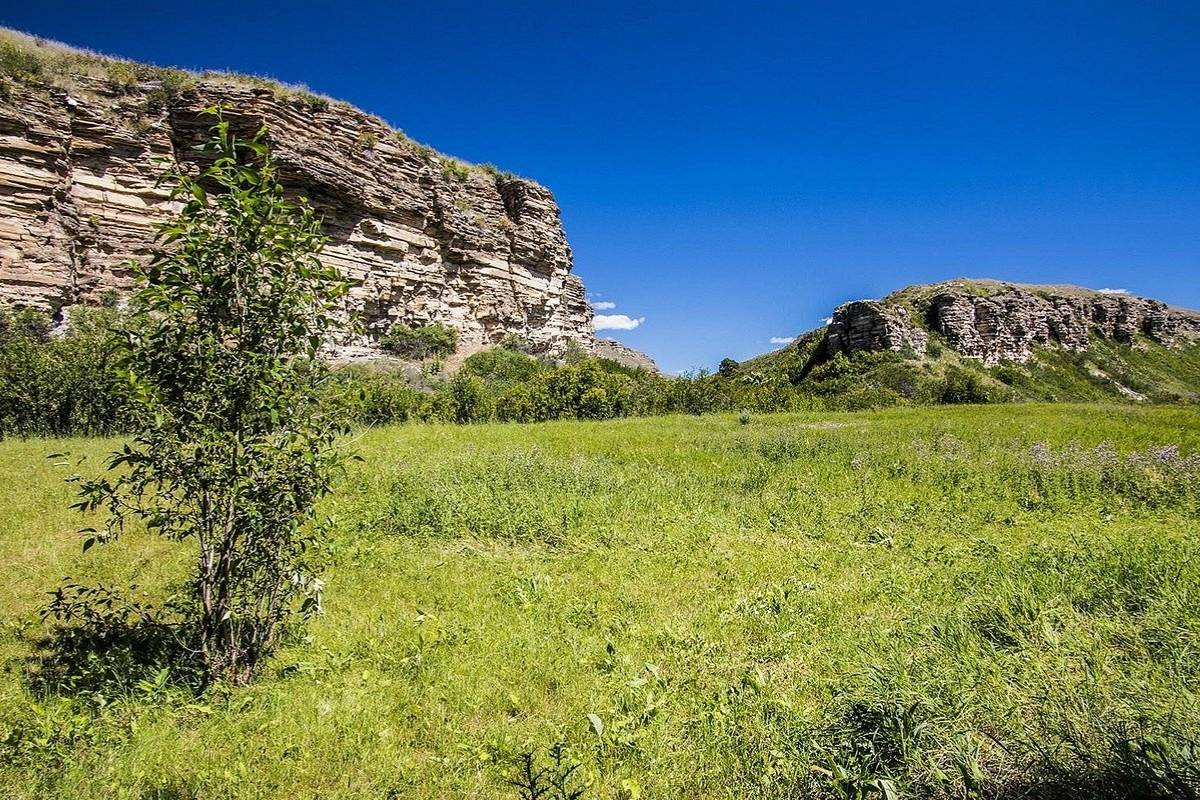 secrets-hidden-in-montanas-bear-gulch