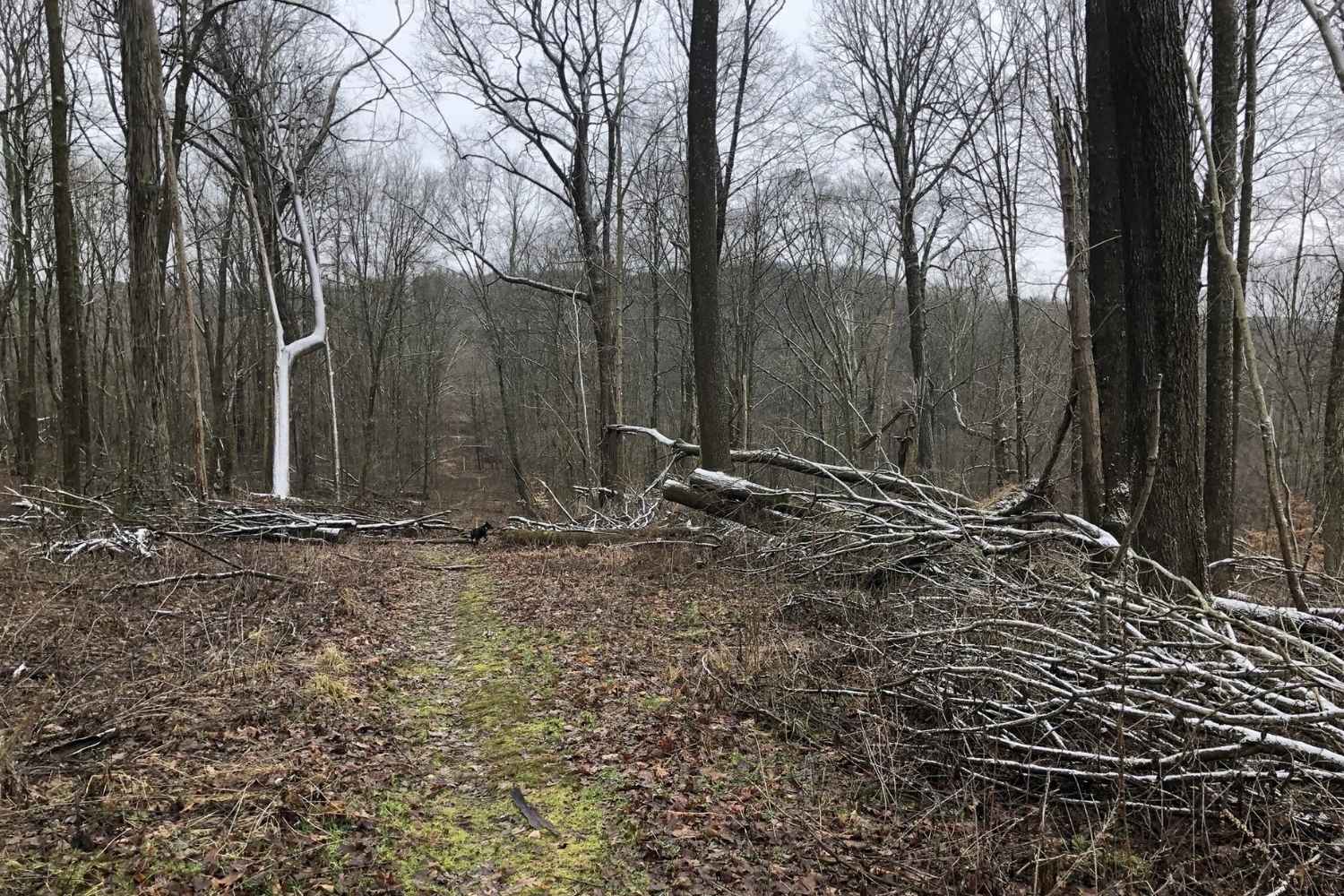 secrets-hidden-in-ohios-clear-fork