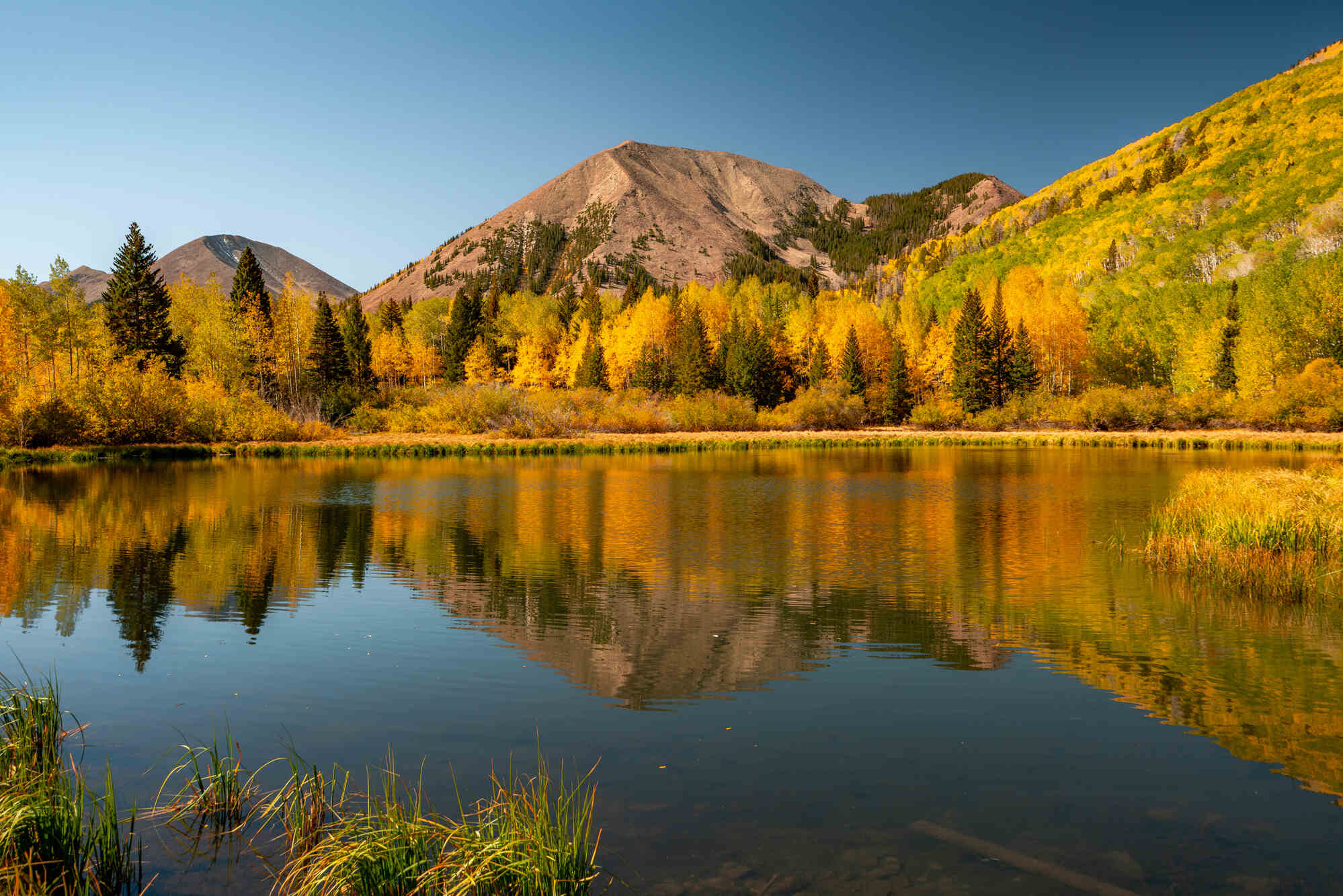 Secrets-Hidden-In-Utah8217s-La-Sal-Forest secrets-hidden-in-utahs-la-sal-forest