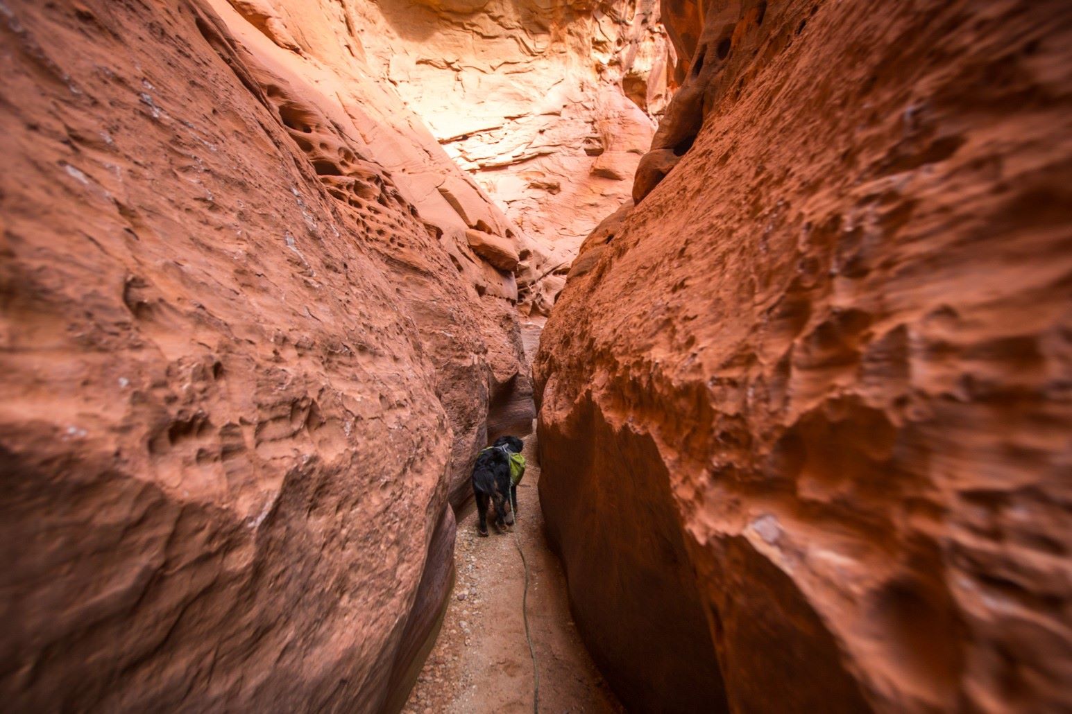 Secrets-Hidden-In-Utah8217s-Little-Death-Hollow secrets-hidden-in-utahs-little-death-hollow