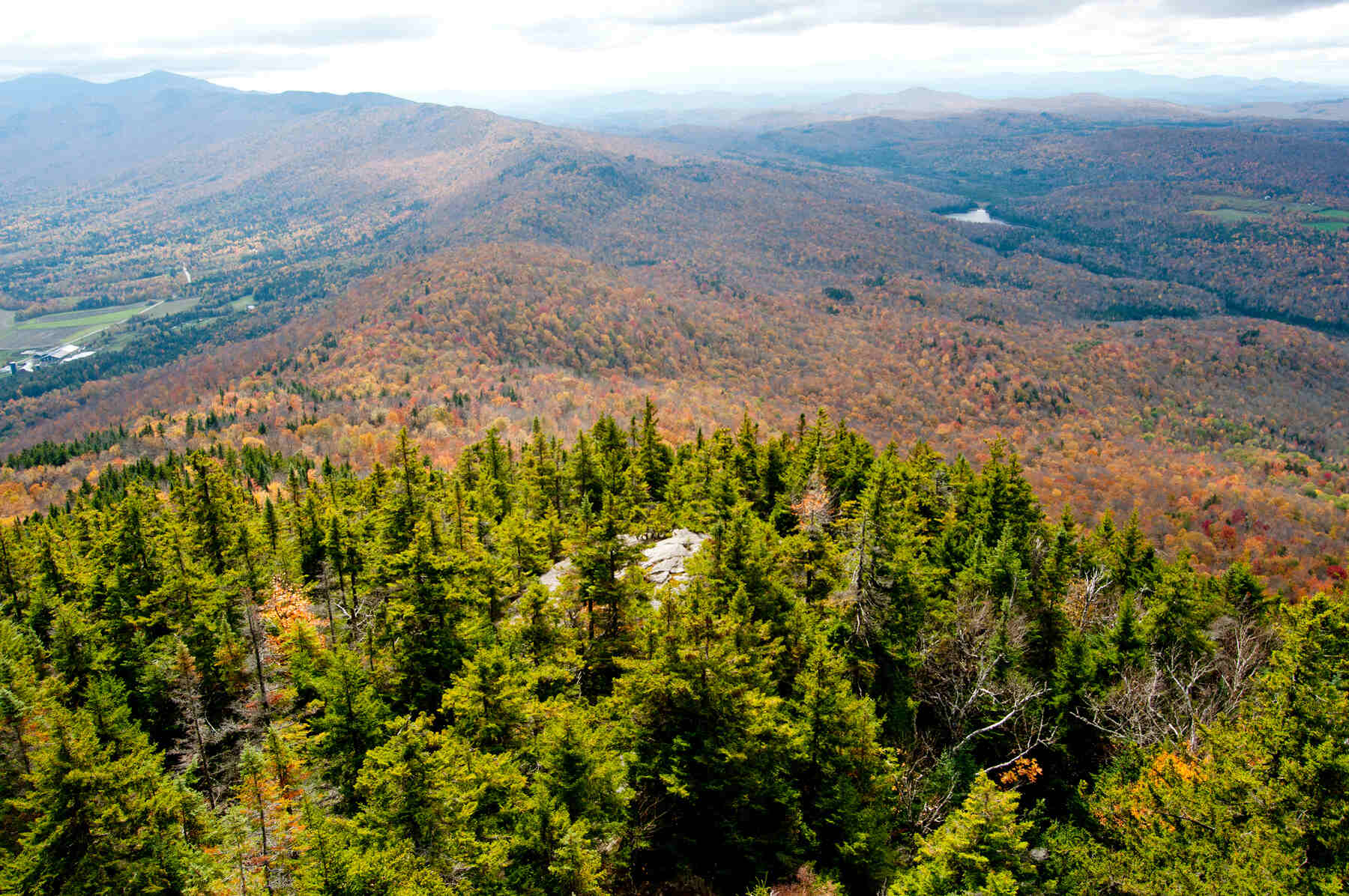 Secrets-Hidden-In-Vermont8217s-Worcester-Woods secrets-hidden-in-vermonts-worcester-woods