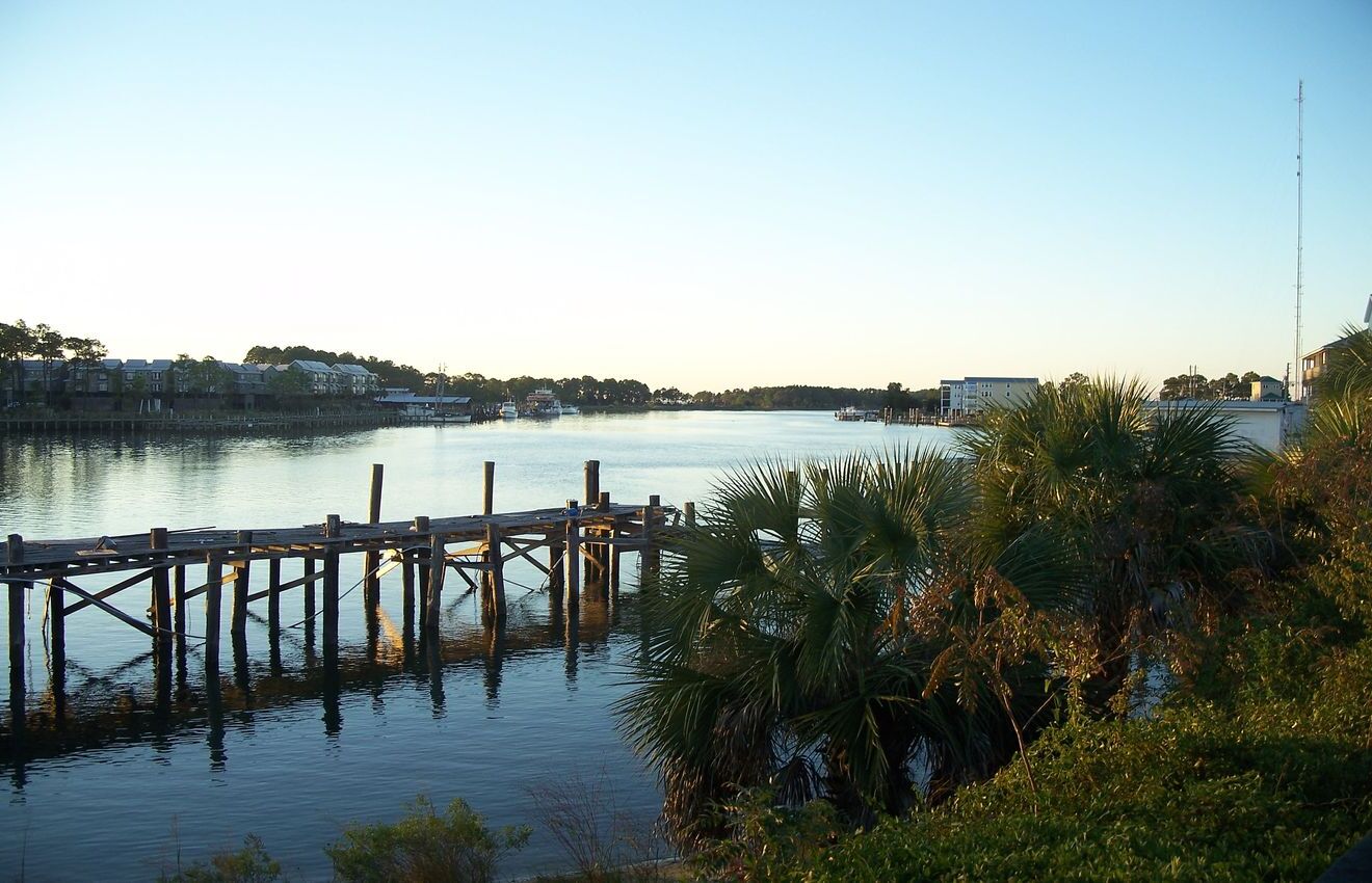 Secrets-Lurking-In-Tates-Hell-Florida secrets-lurking-in-tates-hell-florida