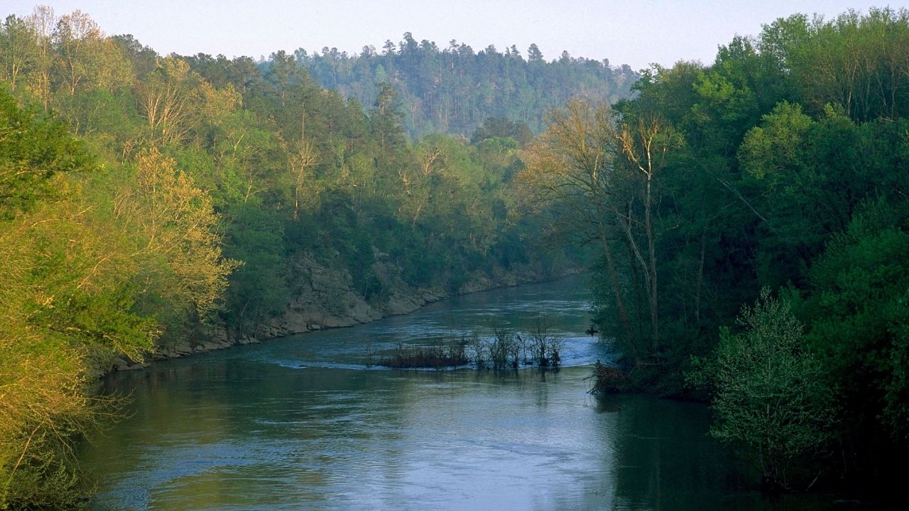 Secrets-Of-Alabama8217s-Cahaba-River secrets-of-alabamas-cahaba-river