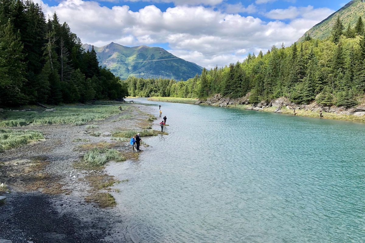 secrets-of-alaskas-bird-creek