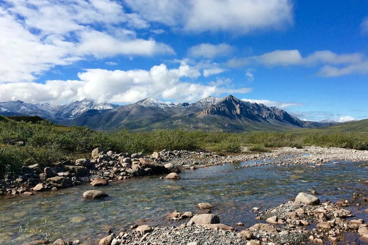 secrets-of-alaskas-bonanza-creek