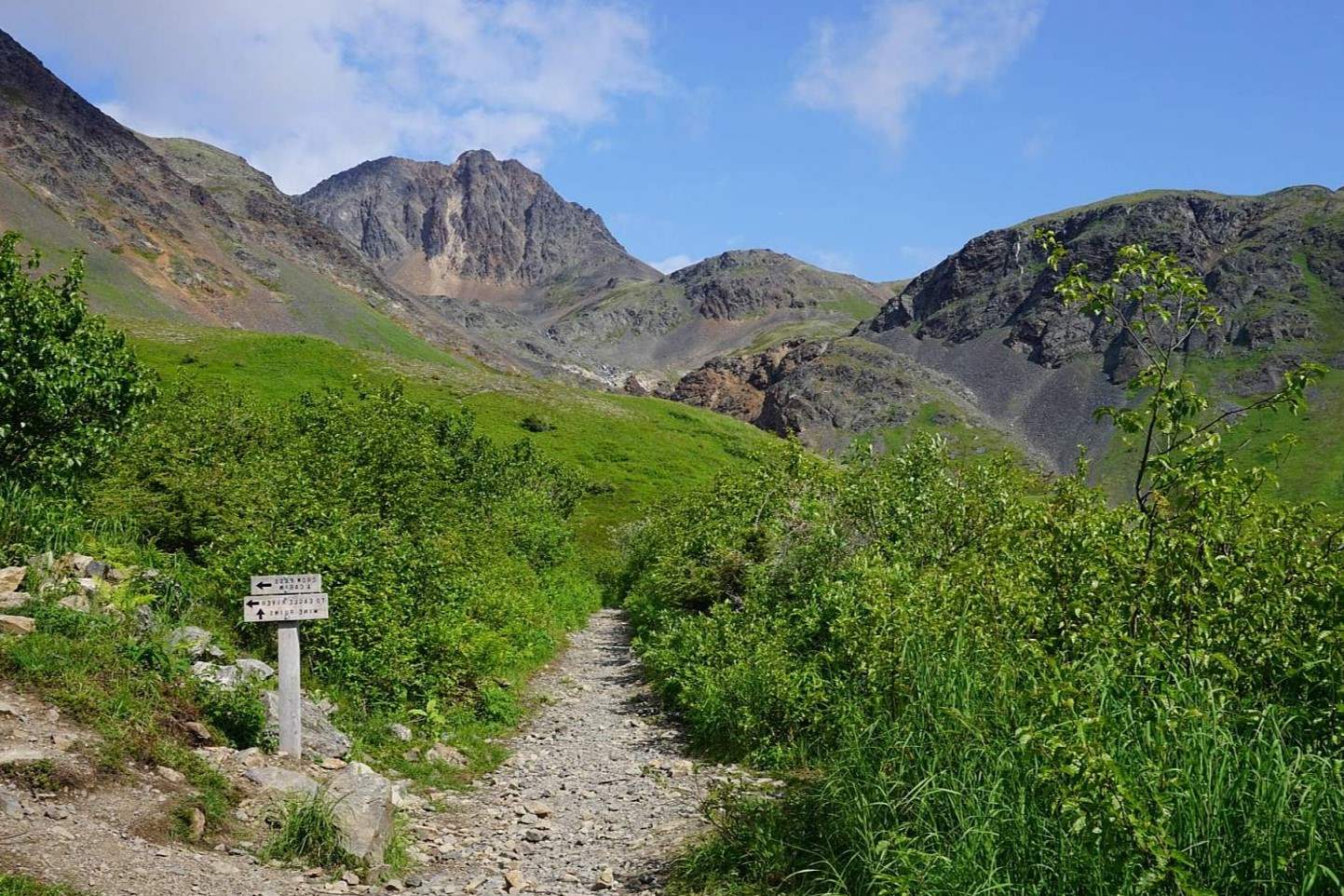 secrets-of-alaskas-crow-creek-springs