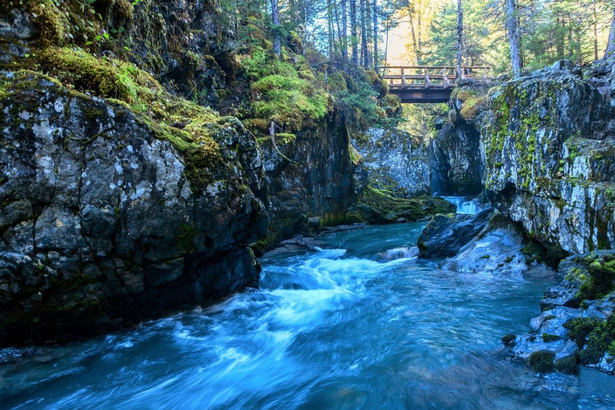 secrets-of-alaskas-winner-creek-revealed