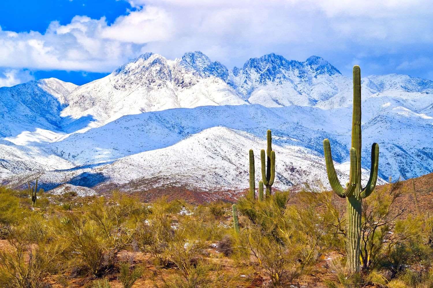 Secrets-Of-Arizona8217s-Four-Peaks-Trails secrets-of-arizonas-four-peaks-trails