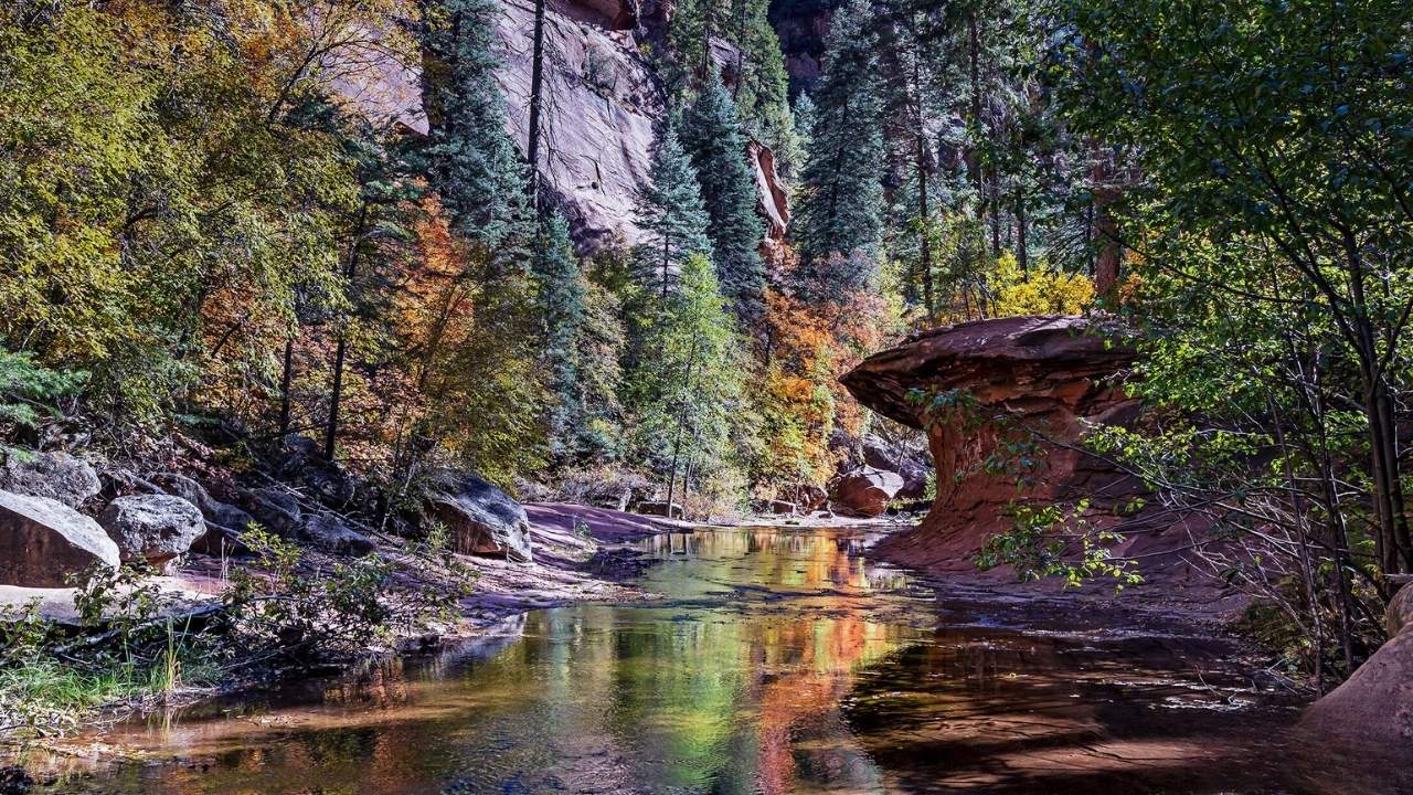 secrets-of-arizonas-oak-creek-trails