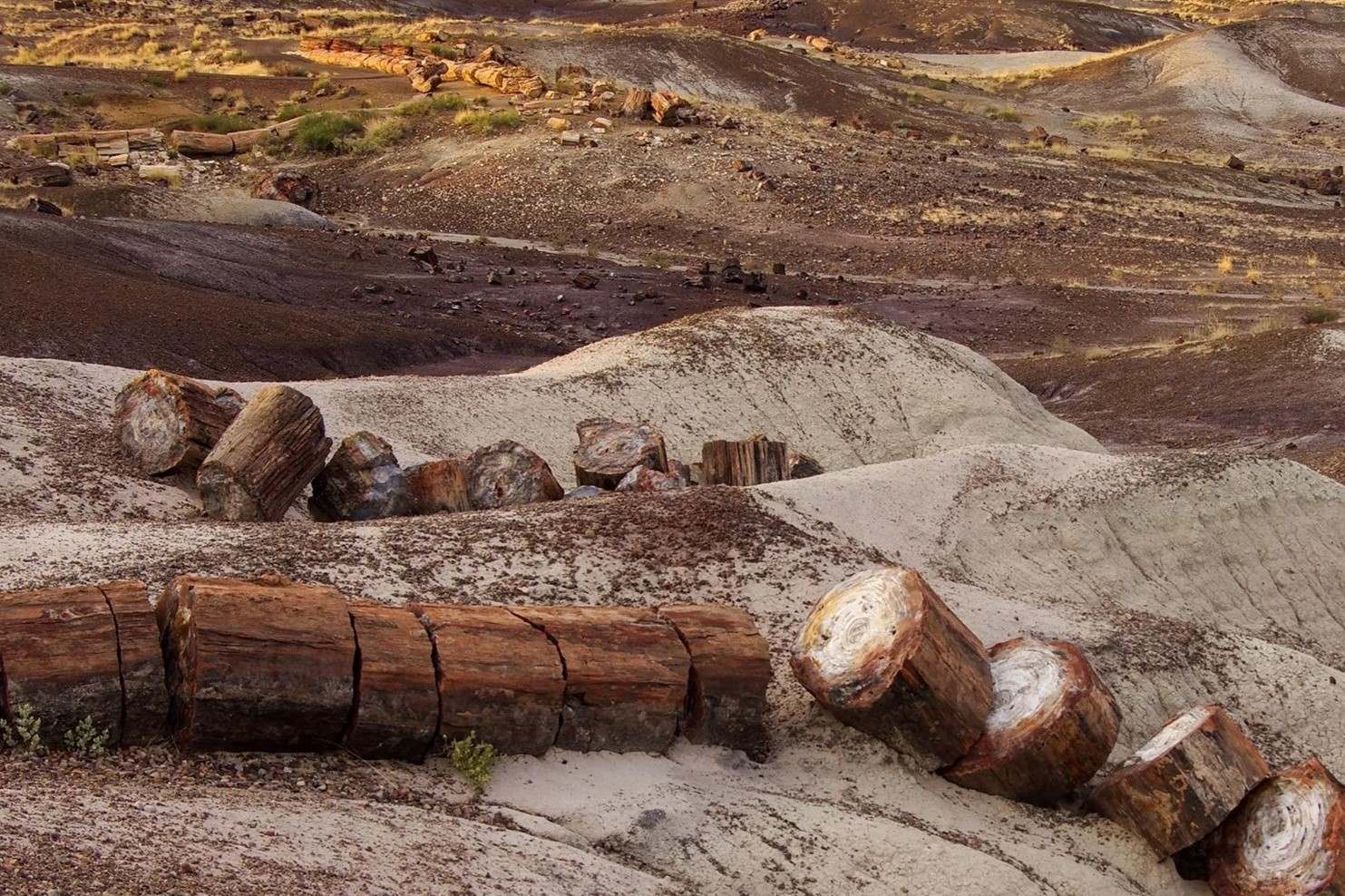 secrets-of-arizonas-petrified-forest-villages