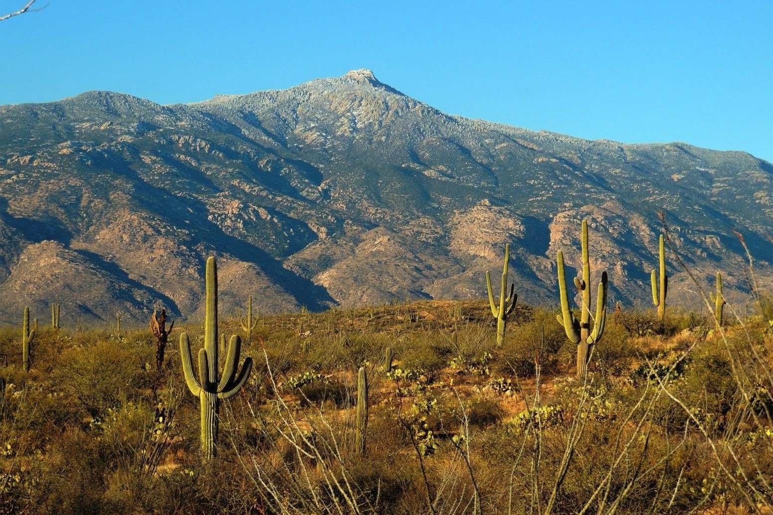 Secrets-Of-Arizona8217s-Rincon-Mountains secrets-of-arizonas-rincon-mountains