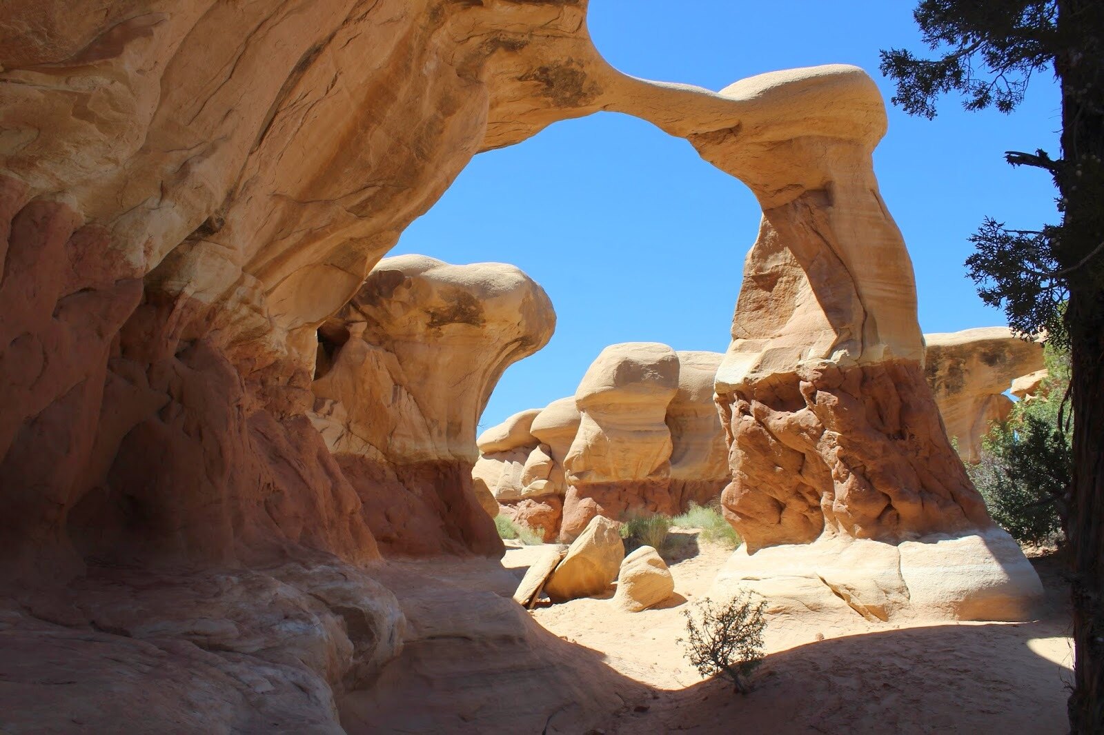 Secrets-Of-Californias-Devils-Garden secrets-of-californias-devils-garden