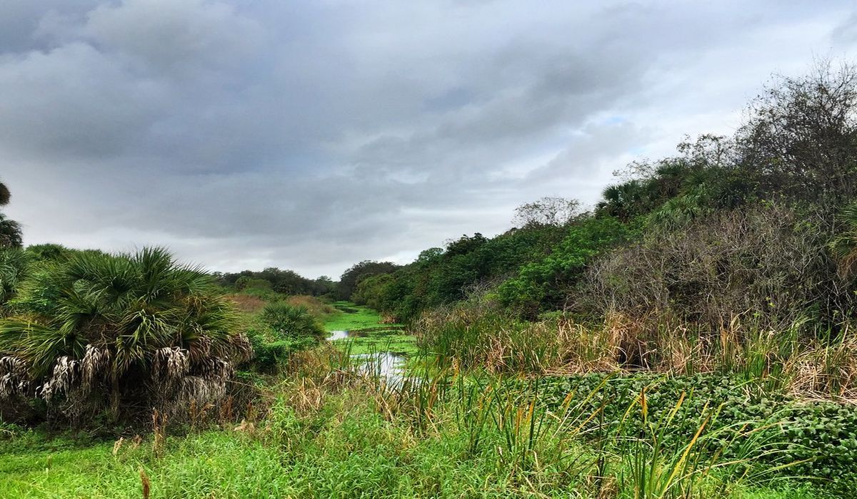 secrets-of-floridas-devil-garden