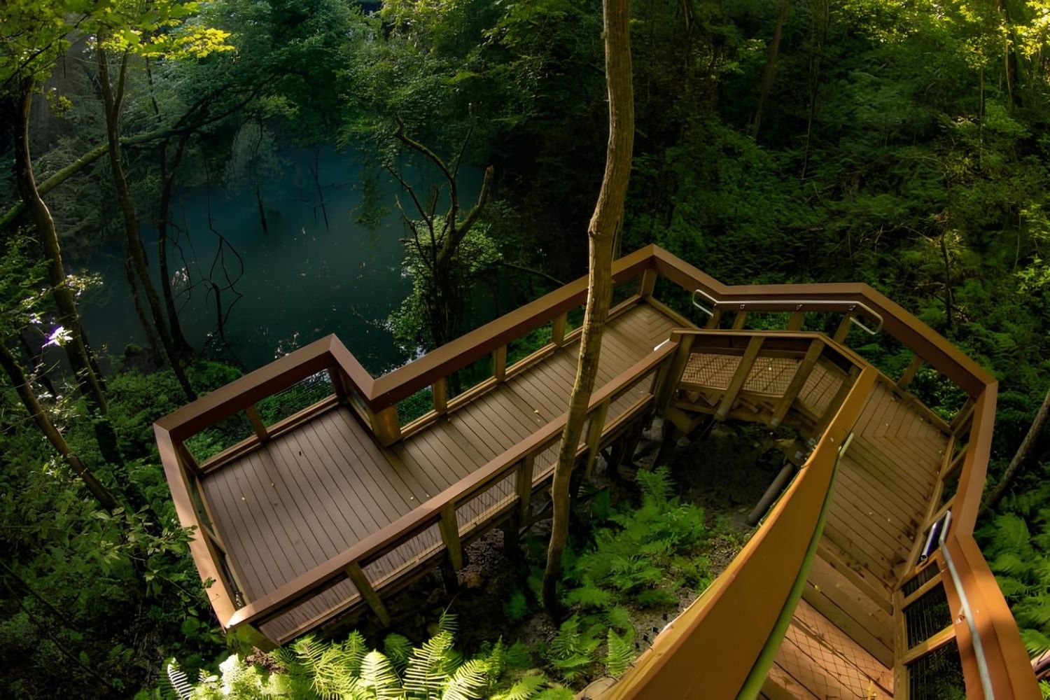 secrets-of-floridas-devil-millhopper