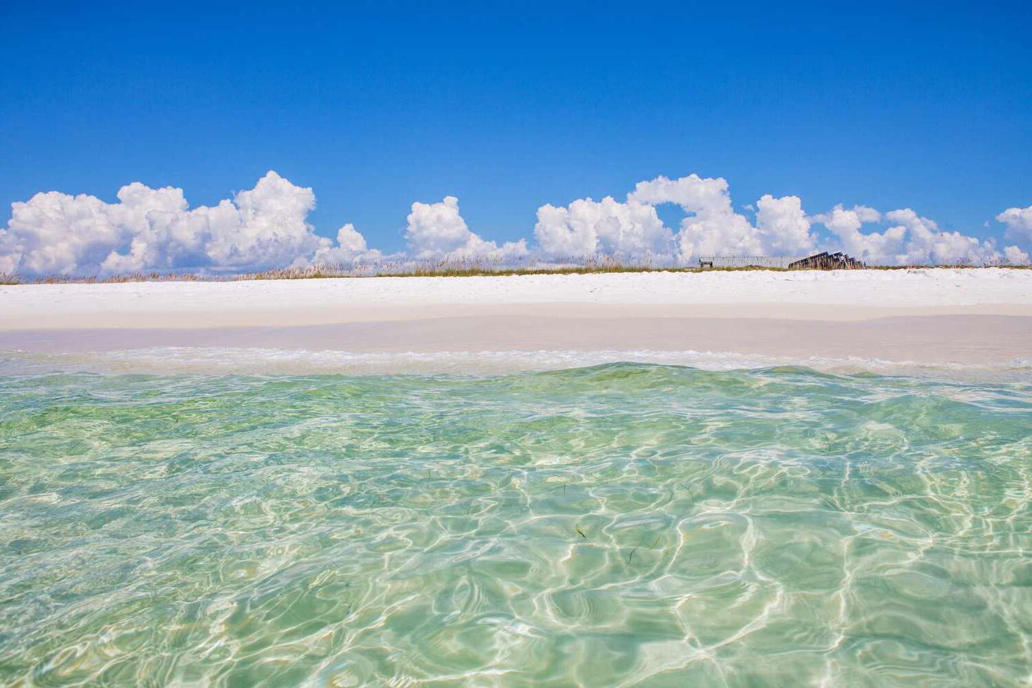 Secrets-Of-Florida8217s-Gulf-Coast secrets-of-floridas-gulf-coast