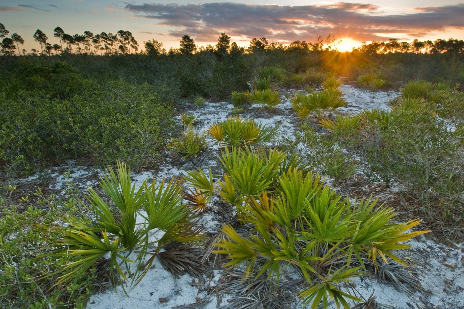 secrets-of-floridas-hobe-mountain