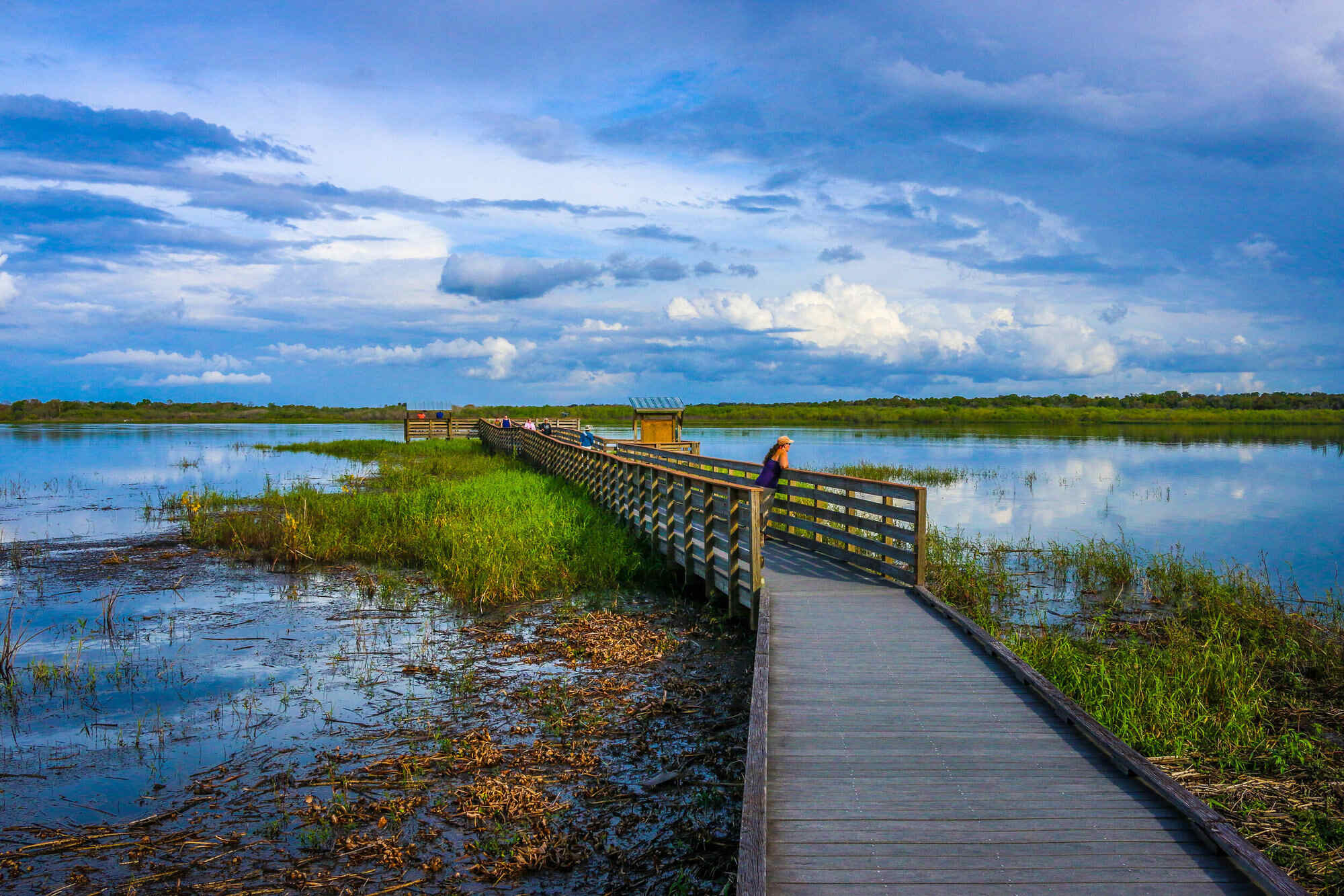 secrets-of-floridas-myakka-river