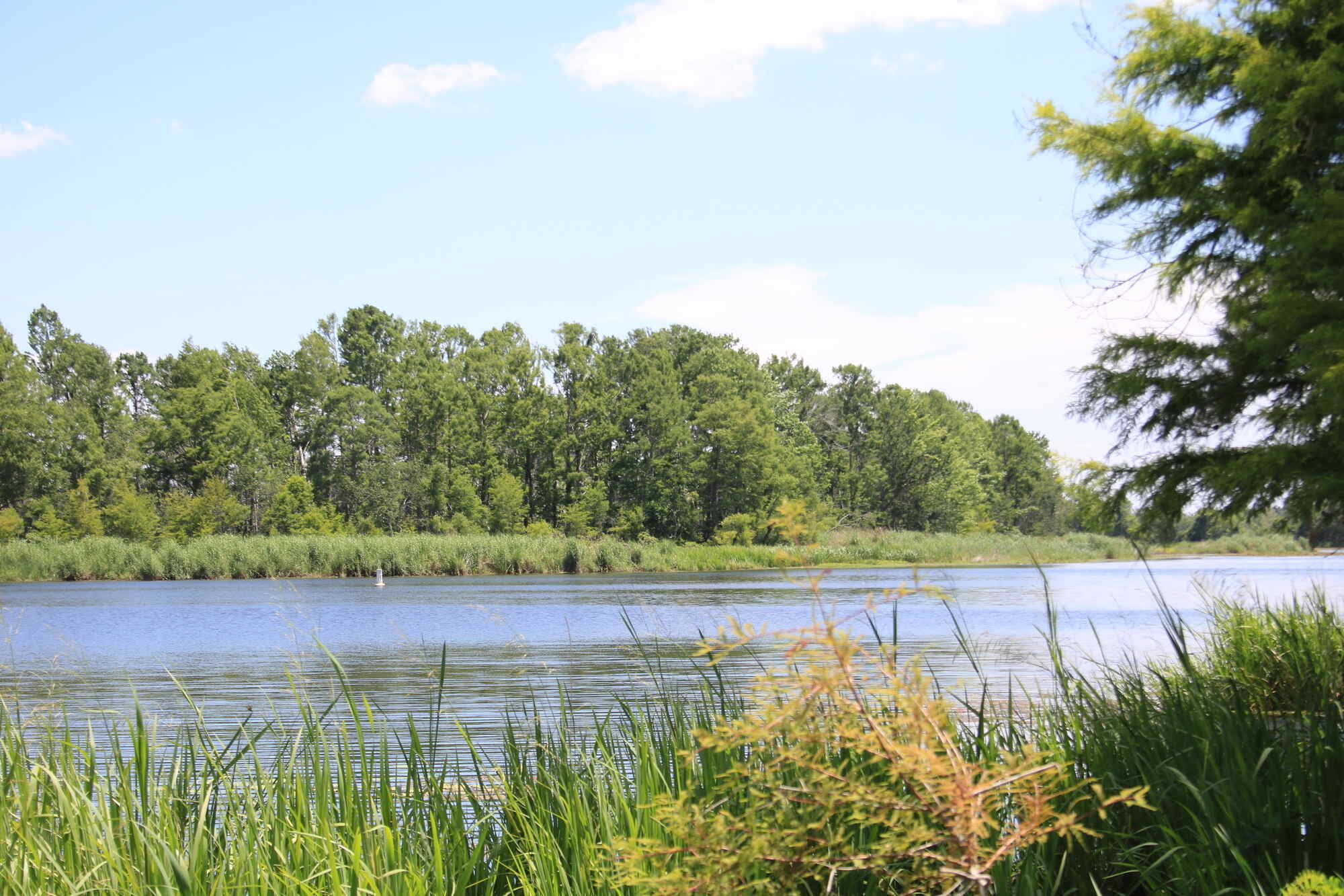 secrets-of-floridas-three-rivers