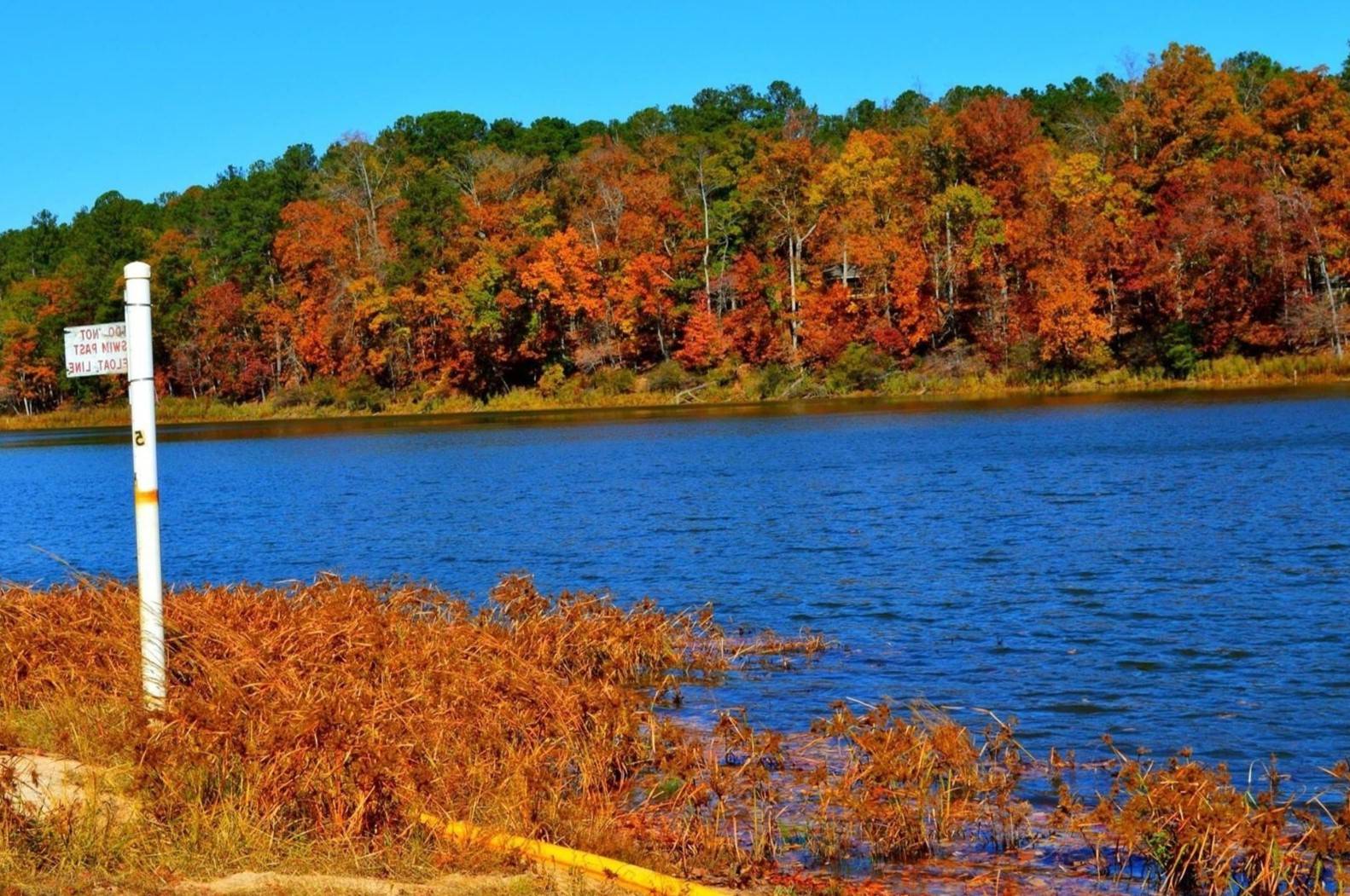 secrets-of-georgias-indian-springs-forest