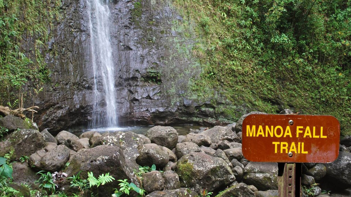 secrets-of-hawaiis-manoa-falls-hidden-springs
