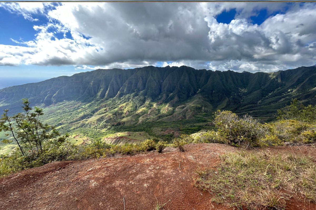 Secrets-Of-Hawaii8217s-Mokuleia-Forest-Valleys secrets-of-hawaiis-mokuleia-forest-valleys